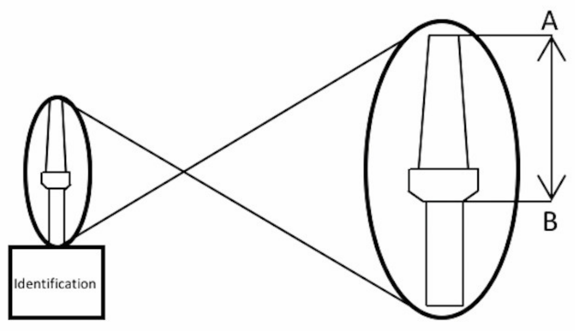 Materials 14 04950 g002