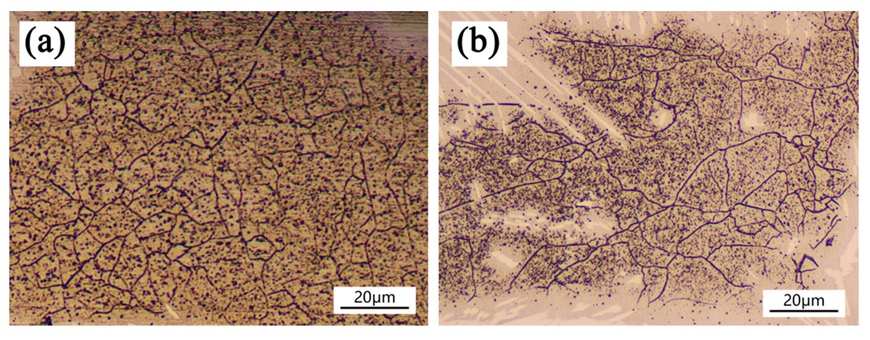 Materials 14 04965 g007