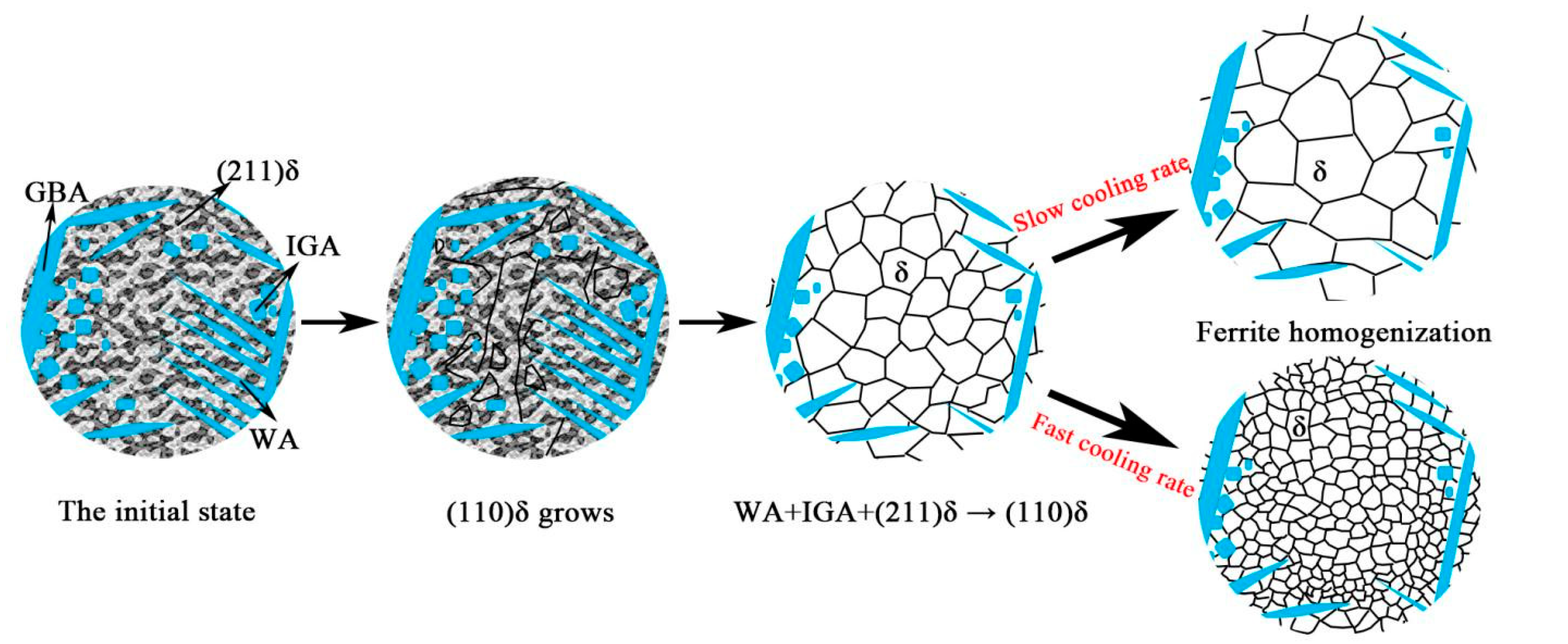 Materials 14 04965 g009