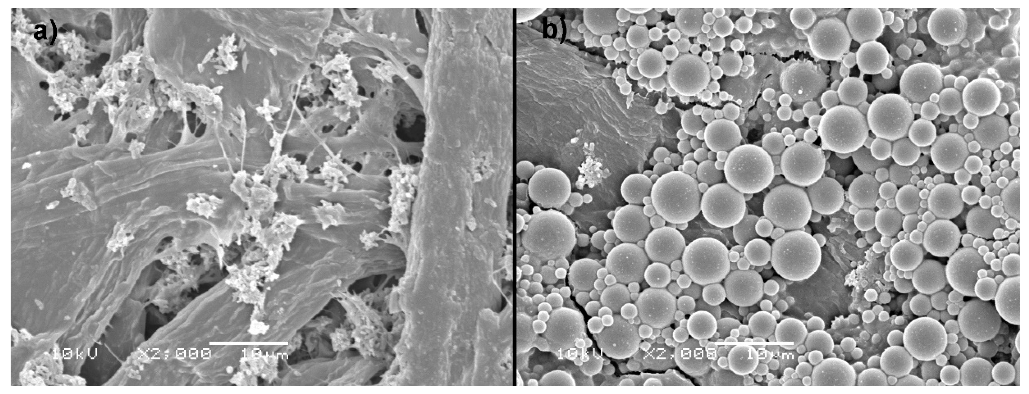 Materials 14 04977 g007