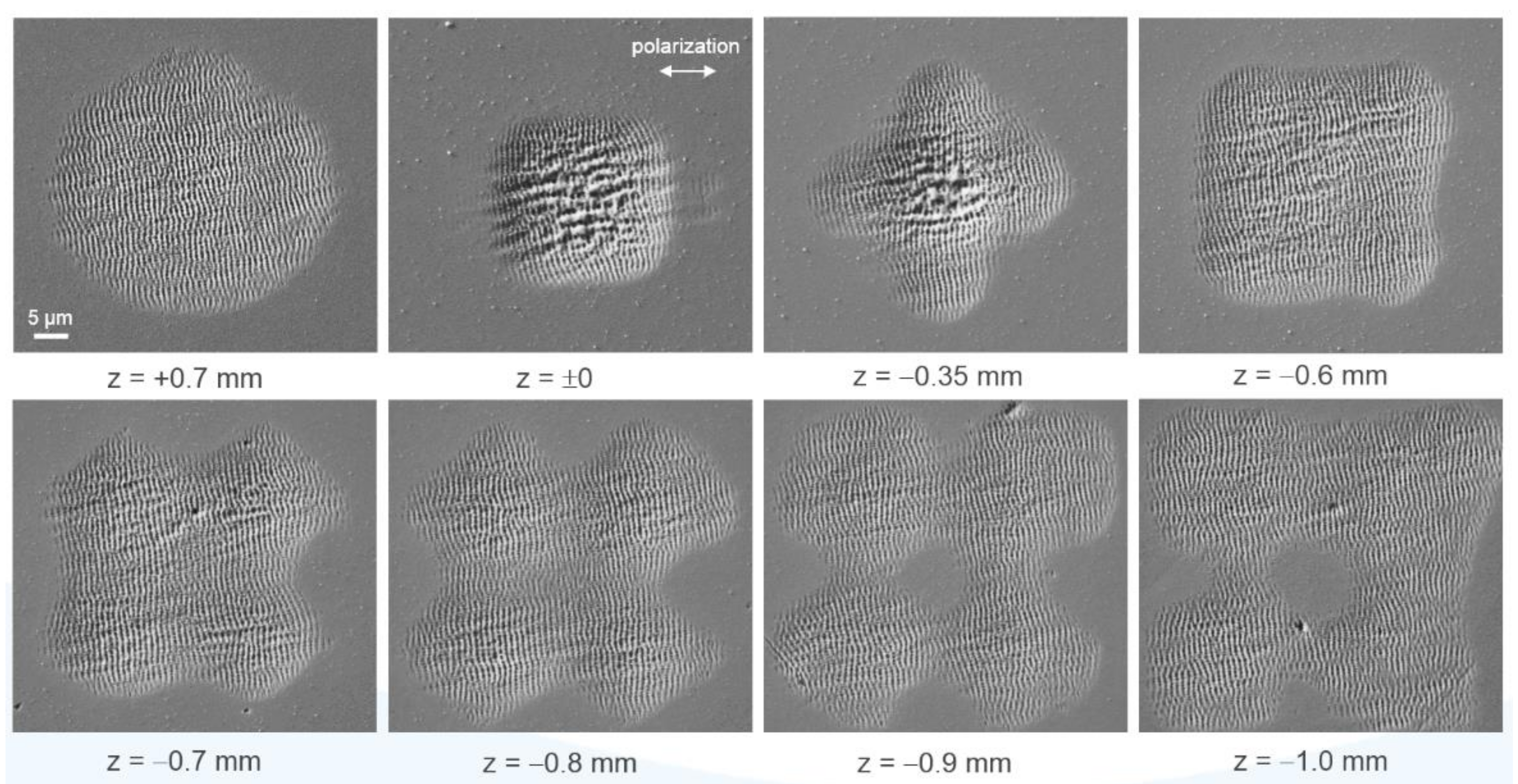 Materials 14 04981 g005