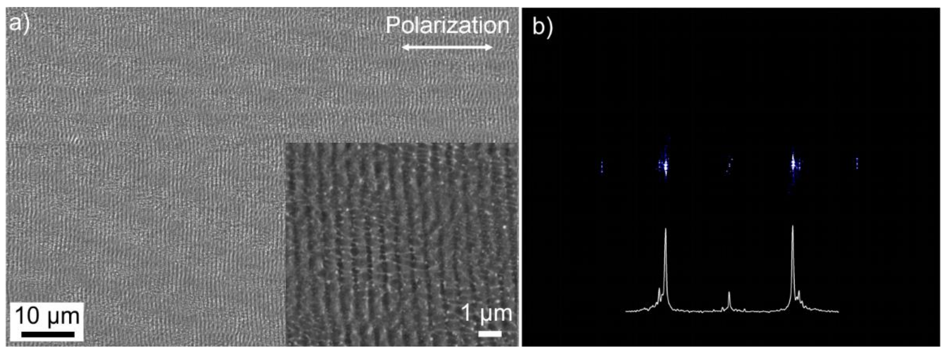 Materials 14 04981 g006