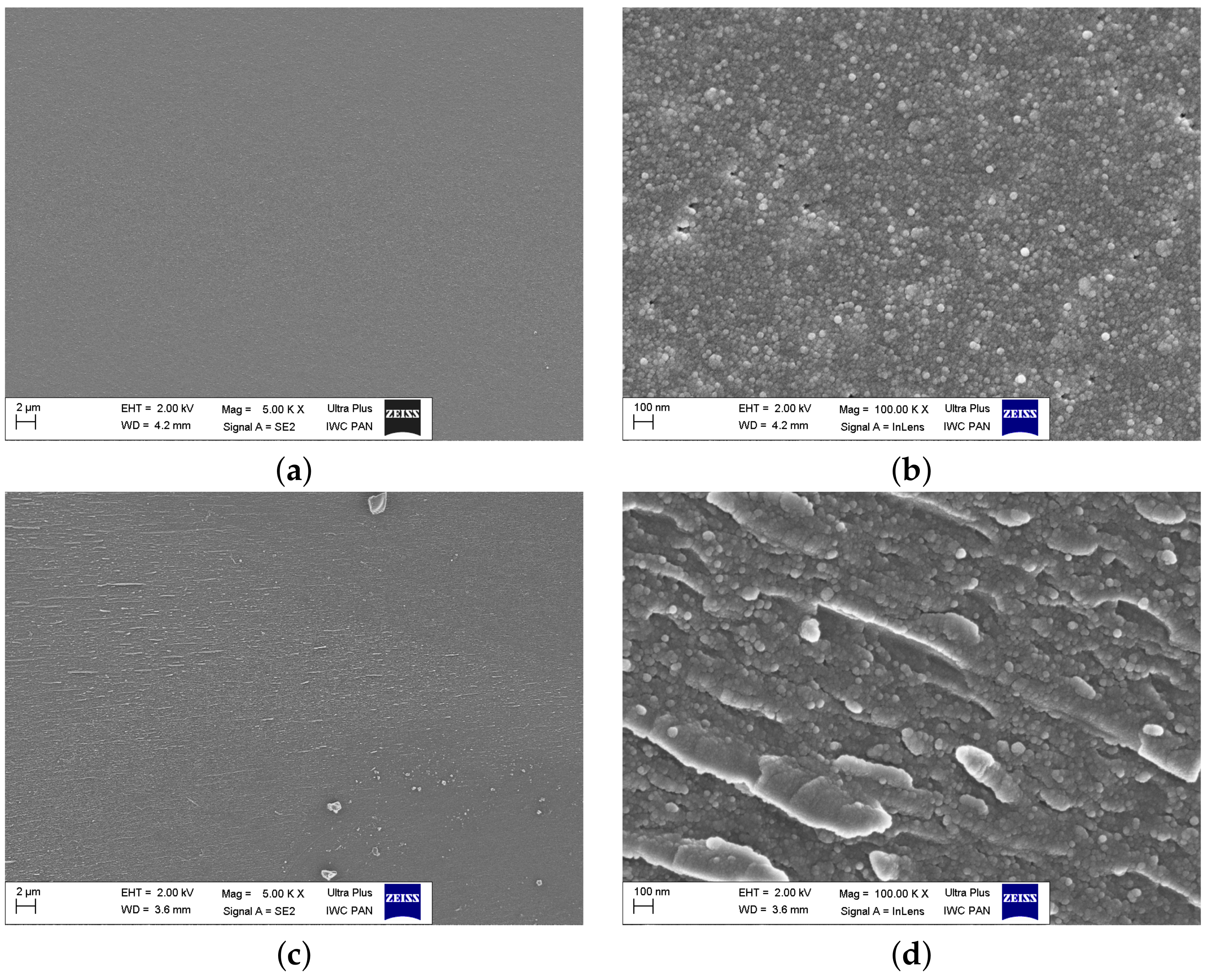 Materials 14 04997 g007a