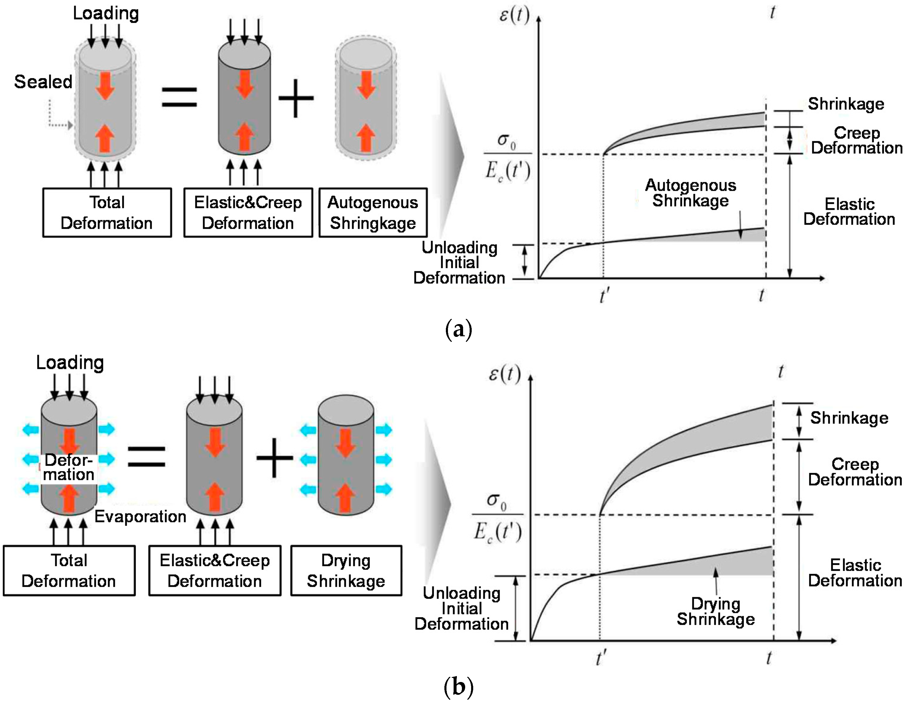 Compression Creep Compressive Creep and Shrinkage of High-Strength Concrete Based on ...
