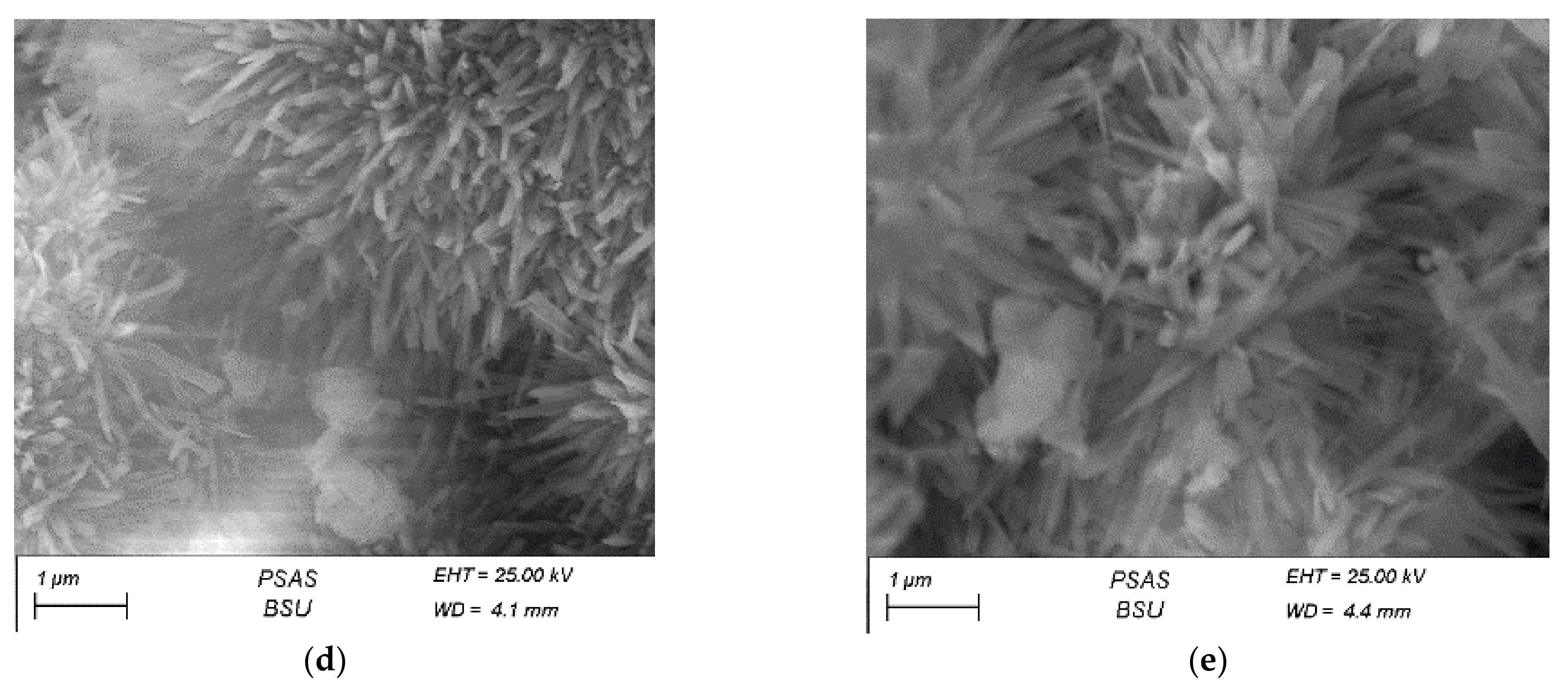 Materials 14 05030 g004b