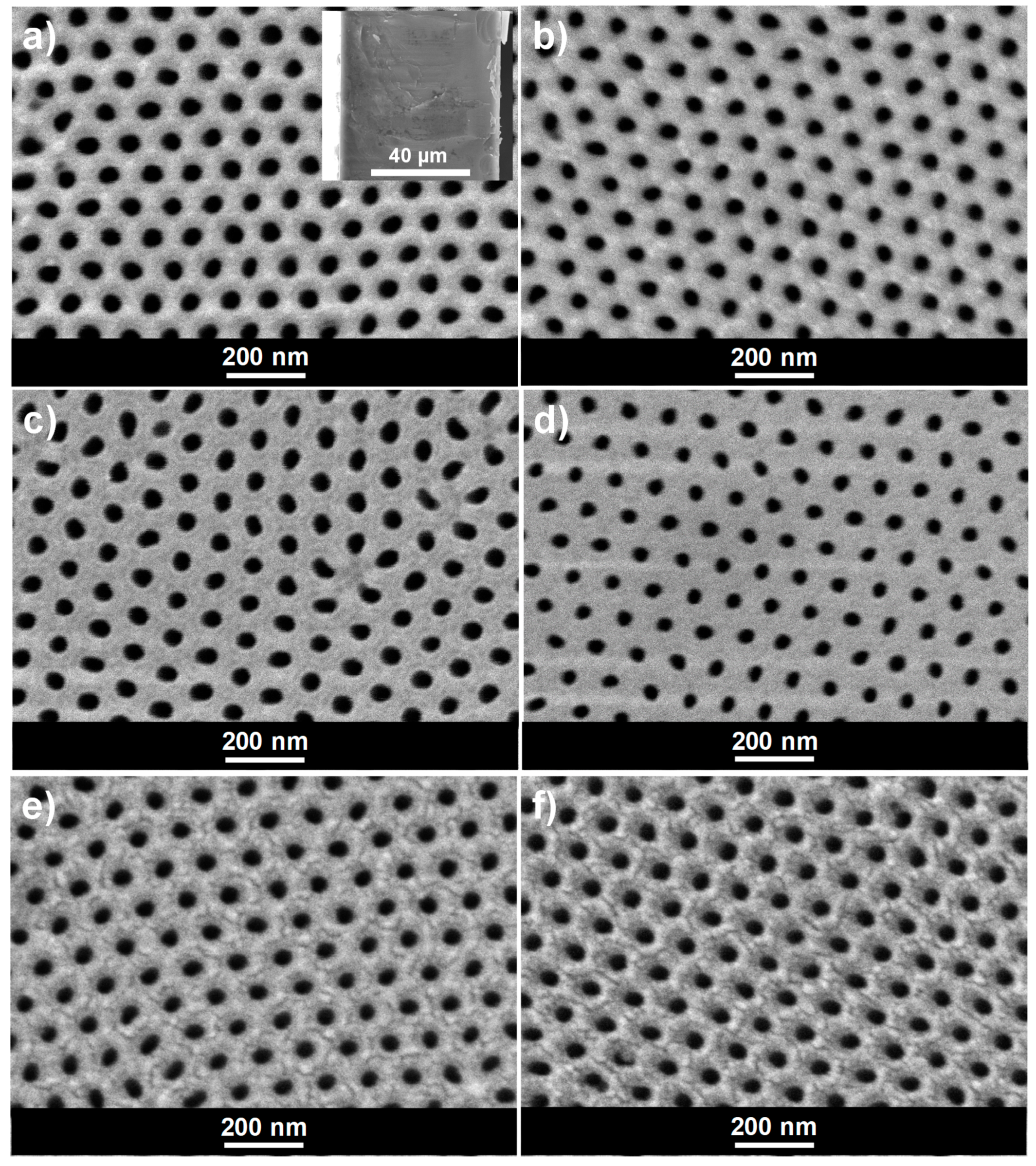 Materials 14 05052 g002