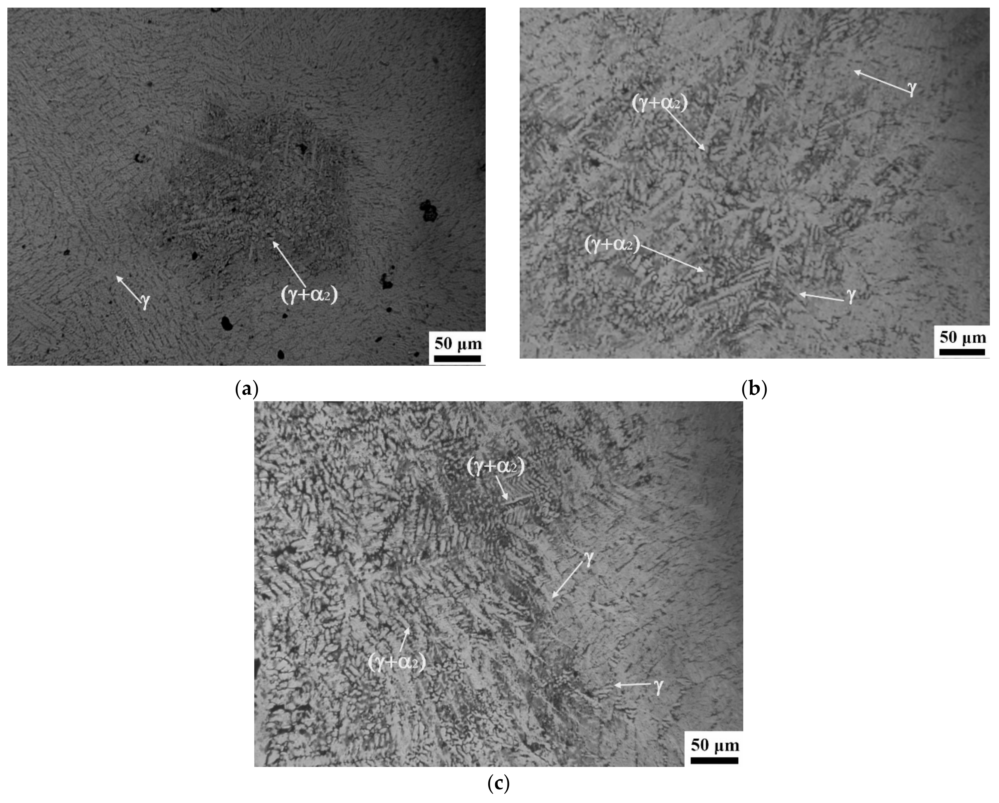 Materials 14 05056 g005