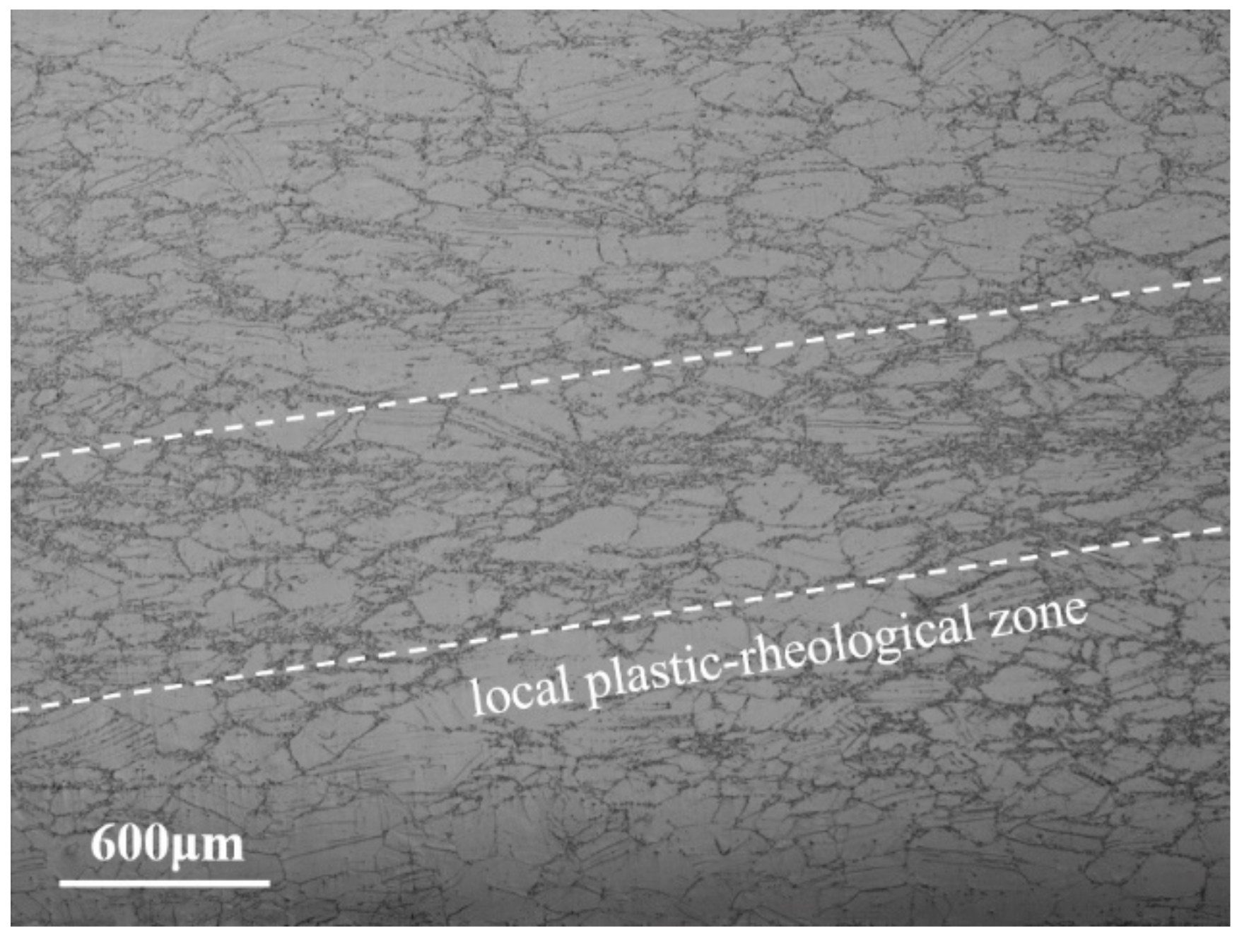 Materials 14 05059 g009