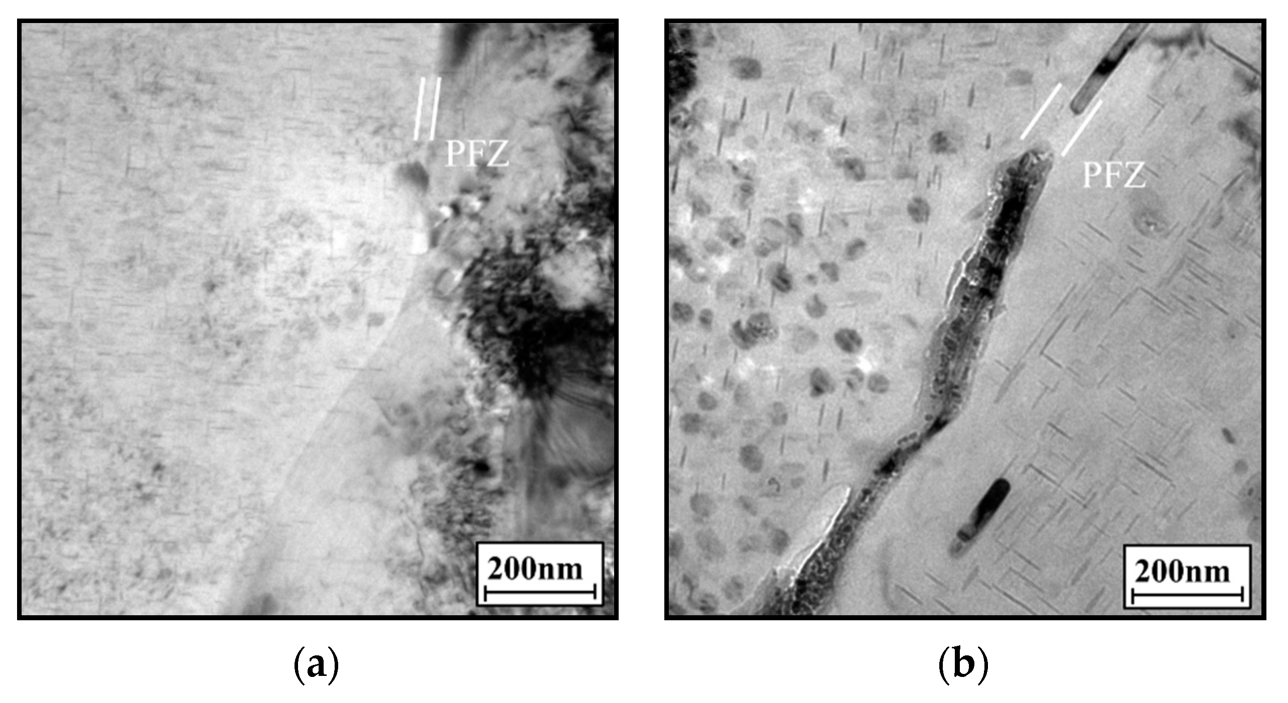 Materials 14 05062 g009a