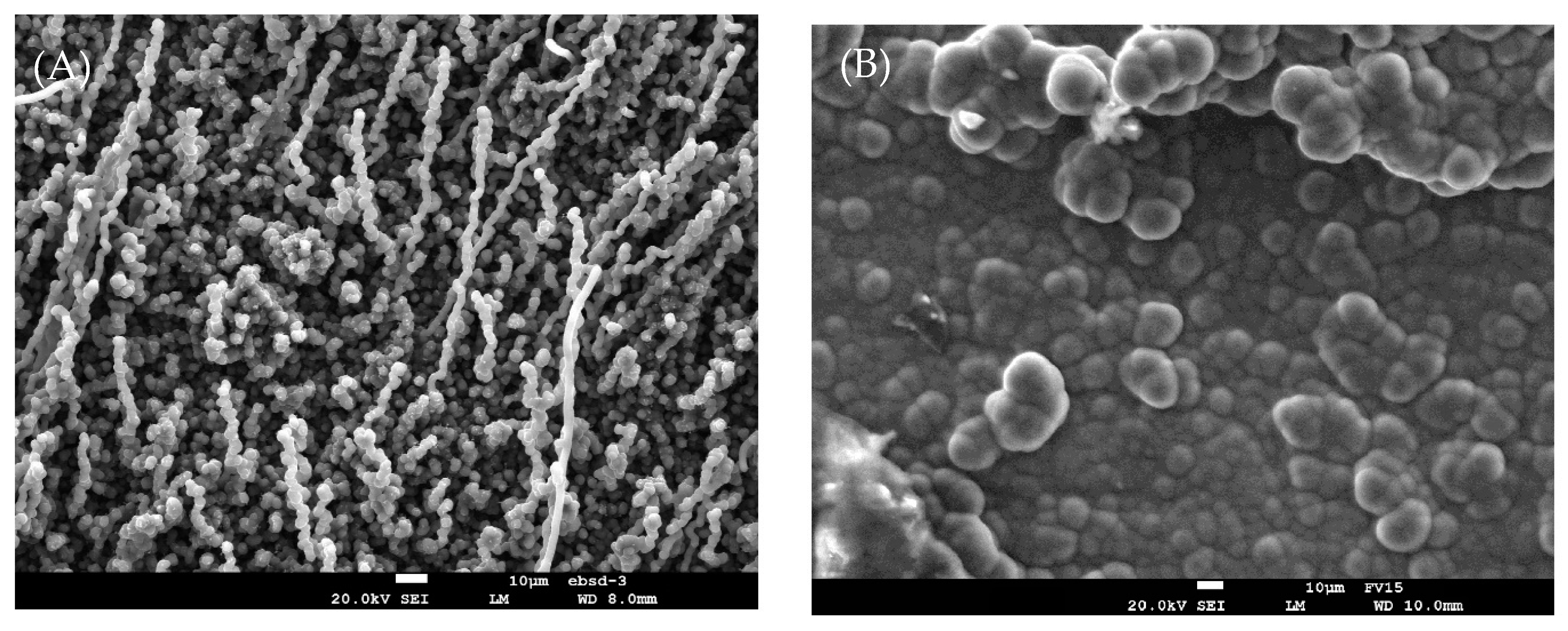 Materials 14 05075 g005