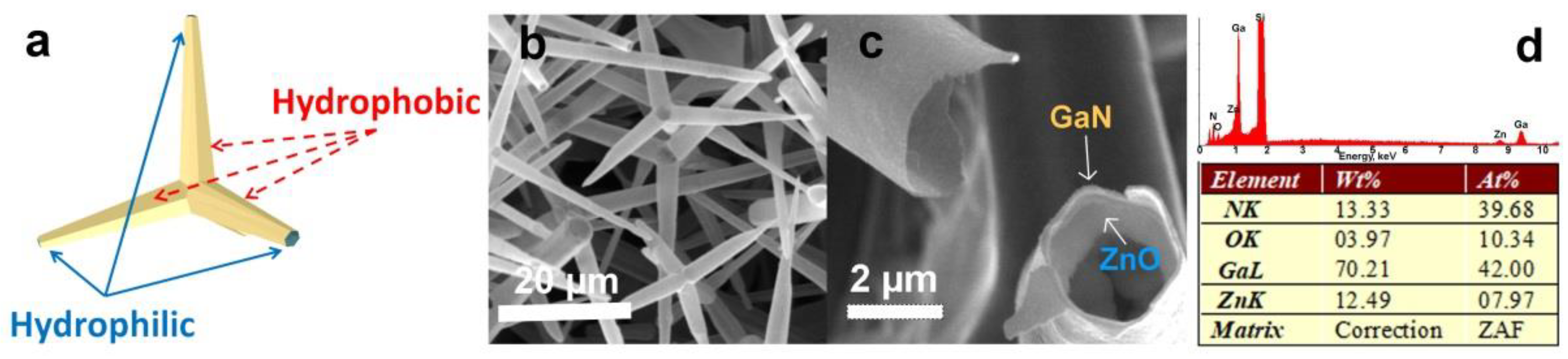 Materials 14 05086 g001