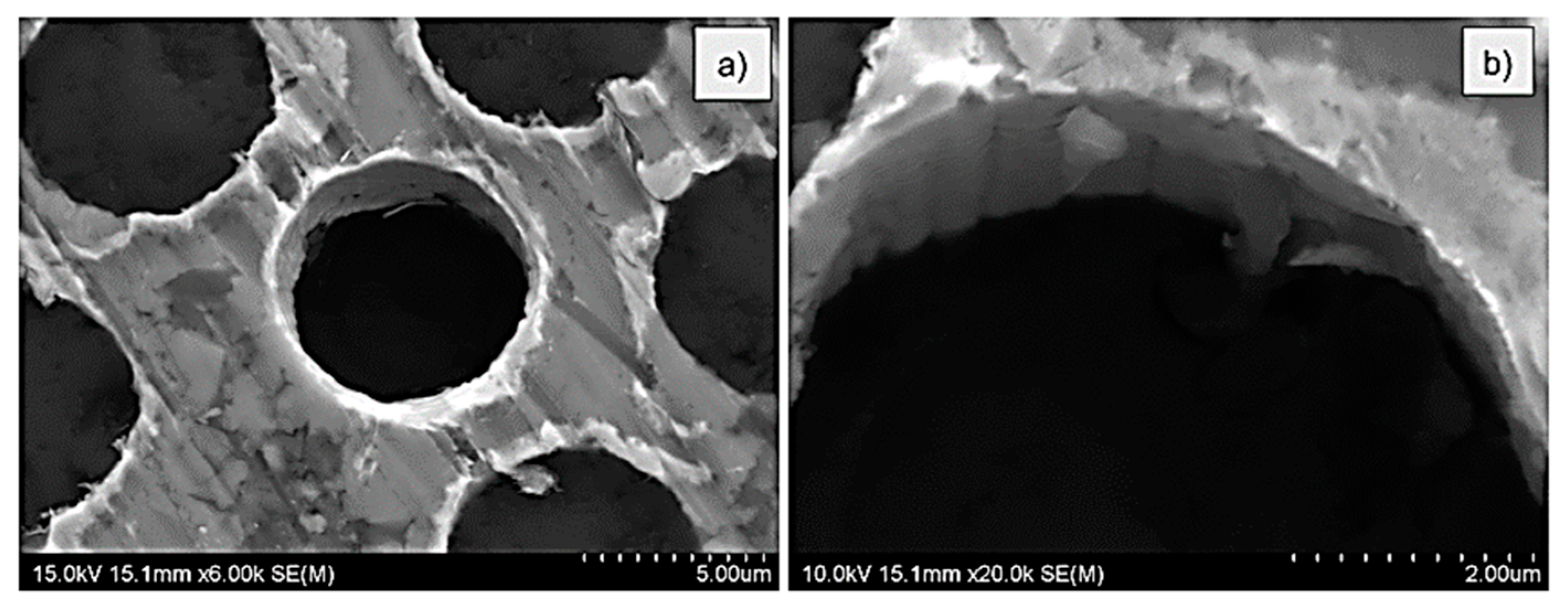 Materials 14 05092 g007