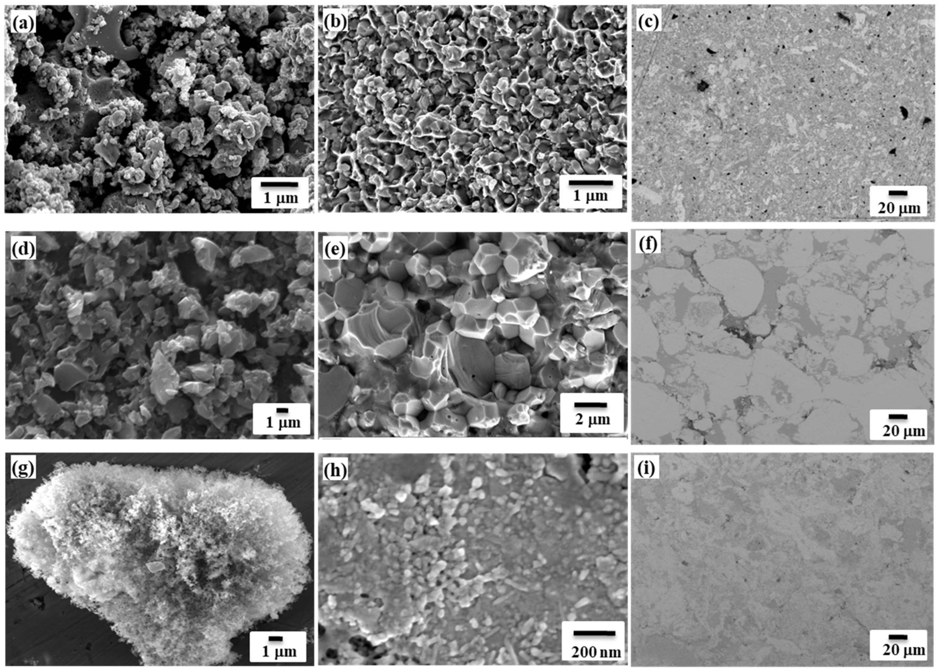 Materials 14 05117 g008