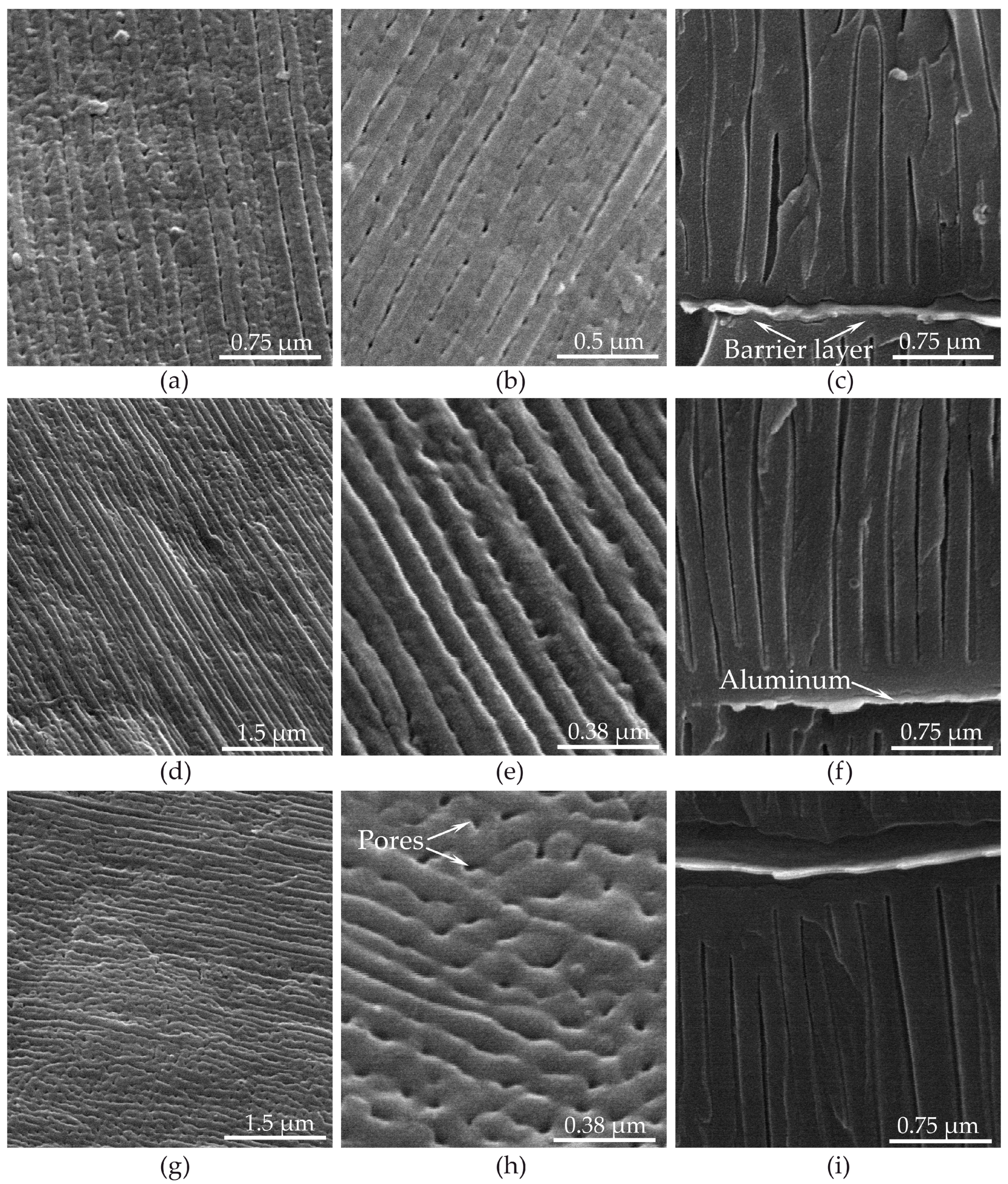 Materials 14 05118 g014