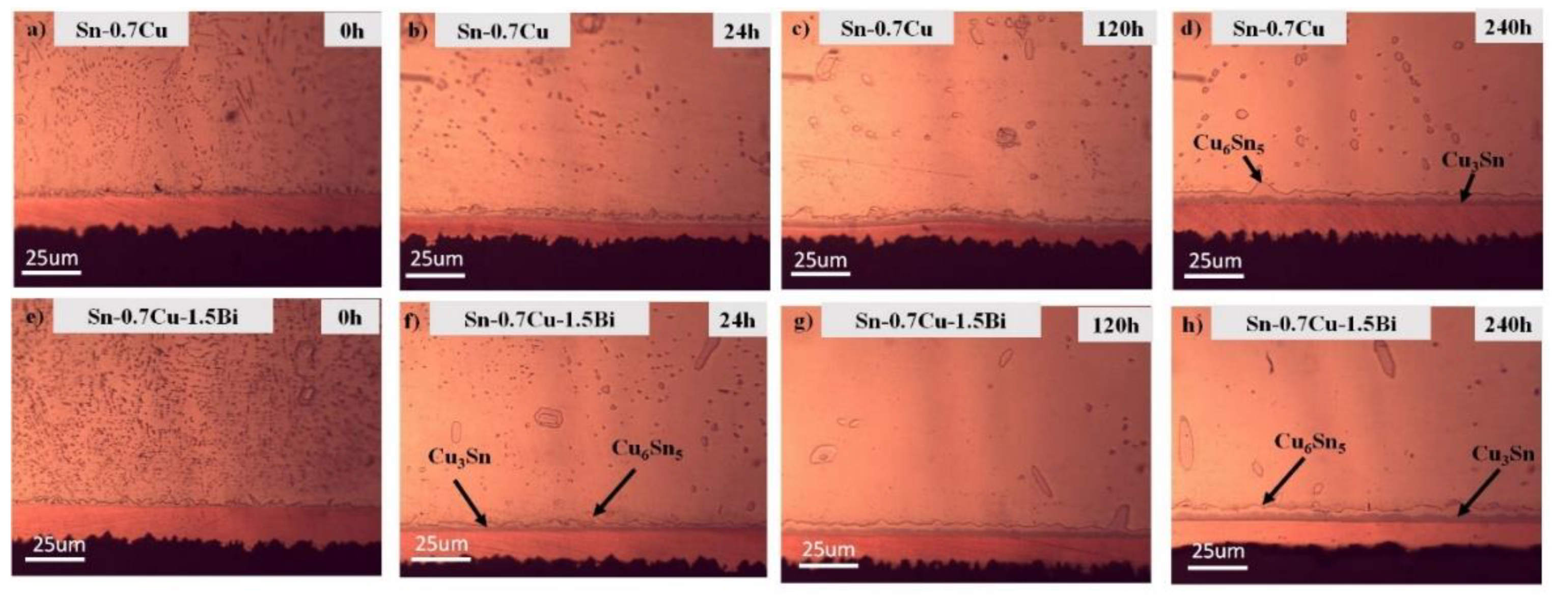 Materials 14 05134 g004