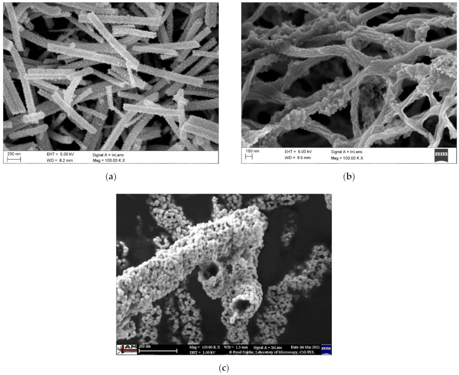 Materials 14 05139 g007