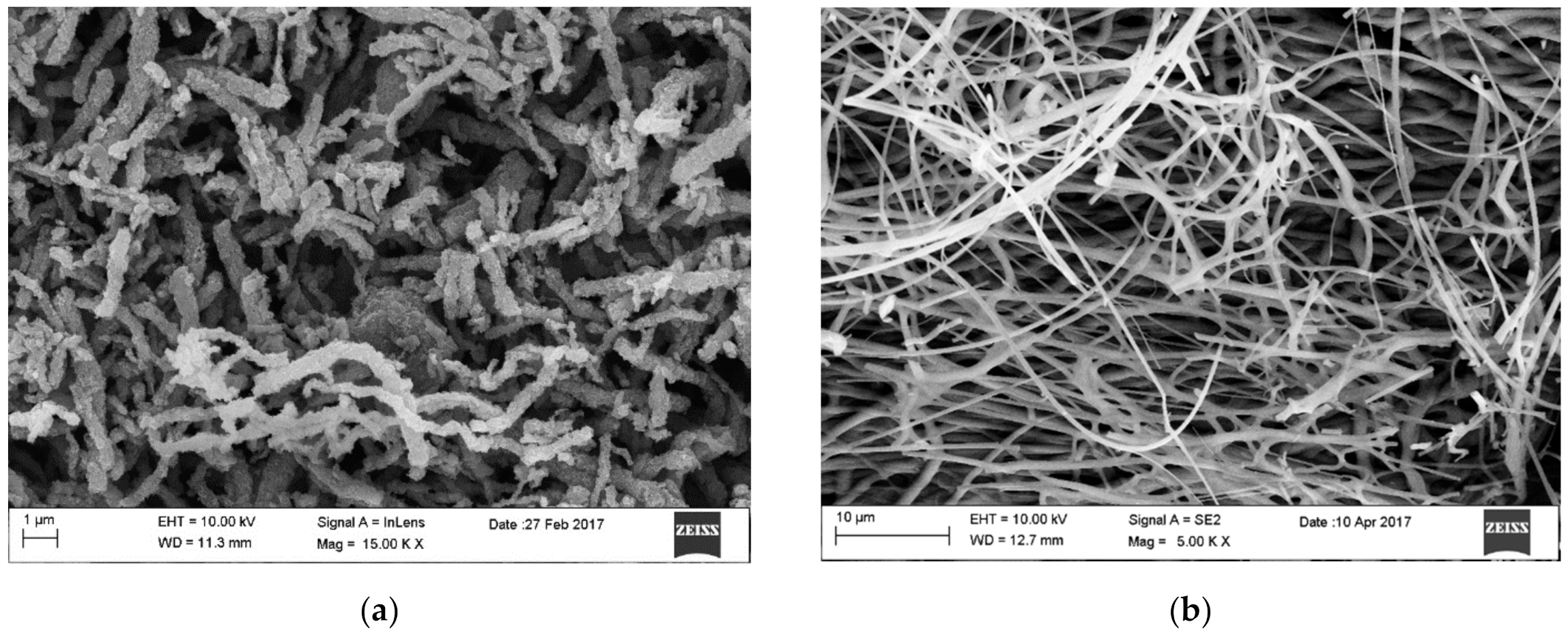 Materials 14 05139 g009