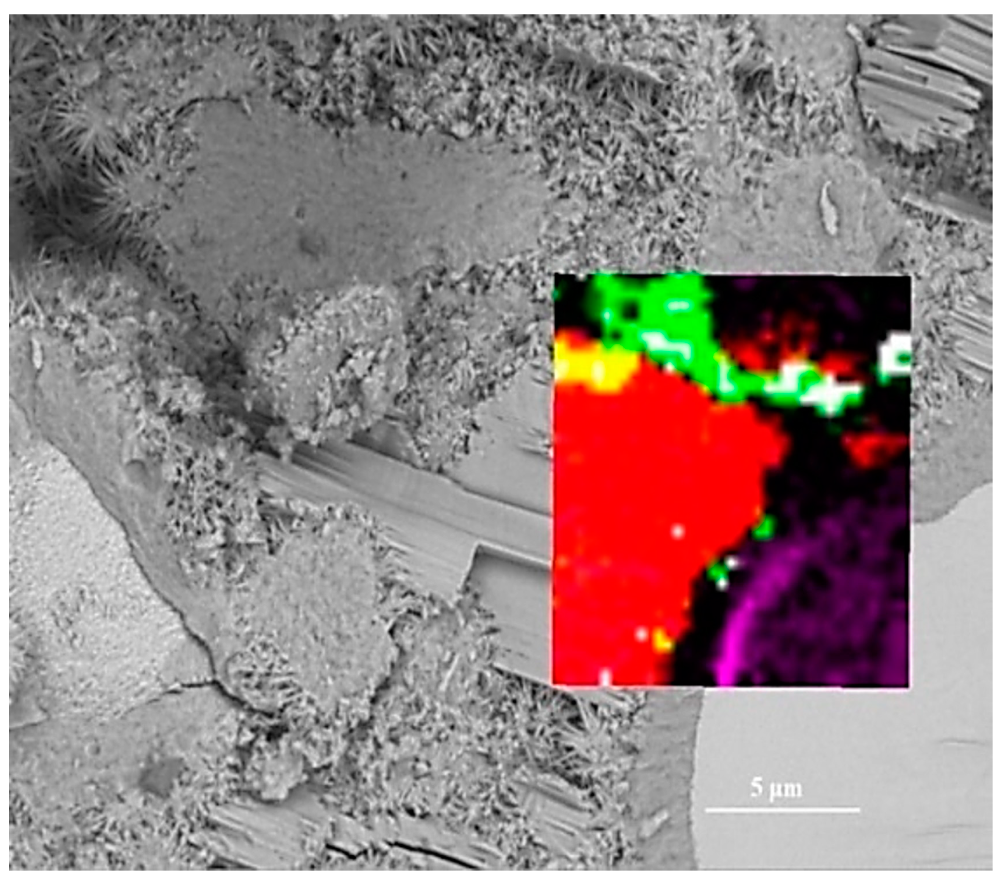 Materials 14 05144 g004