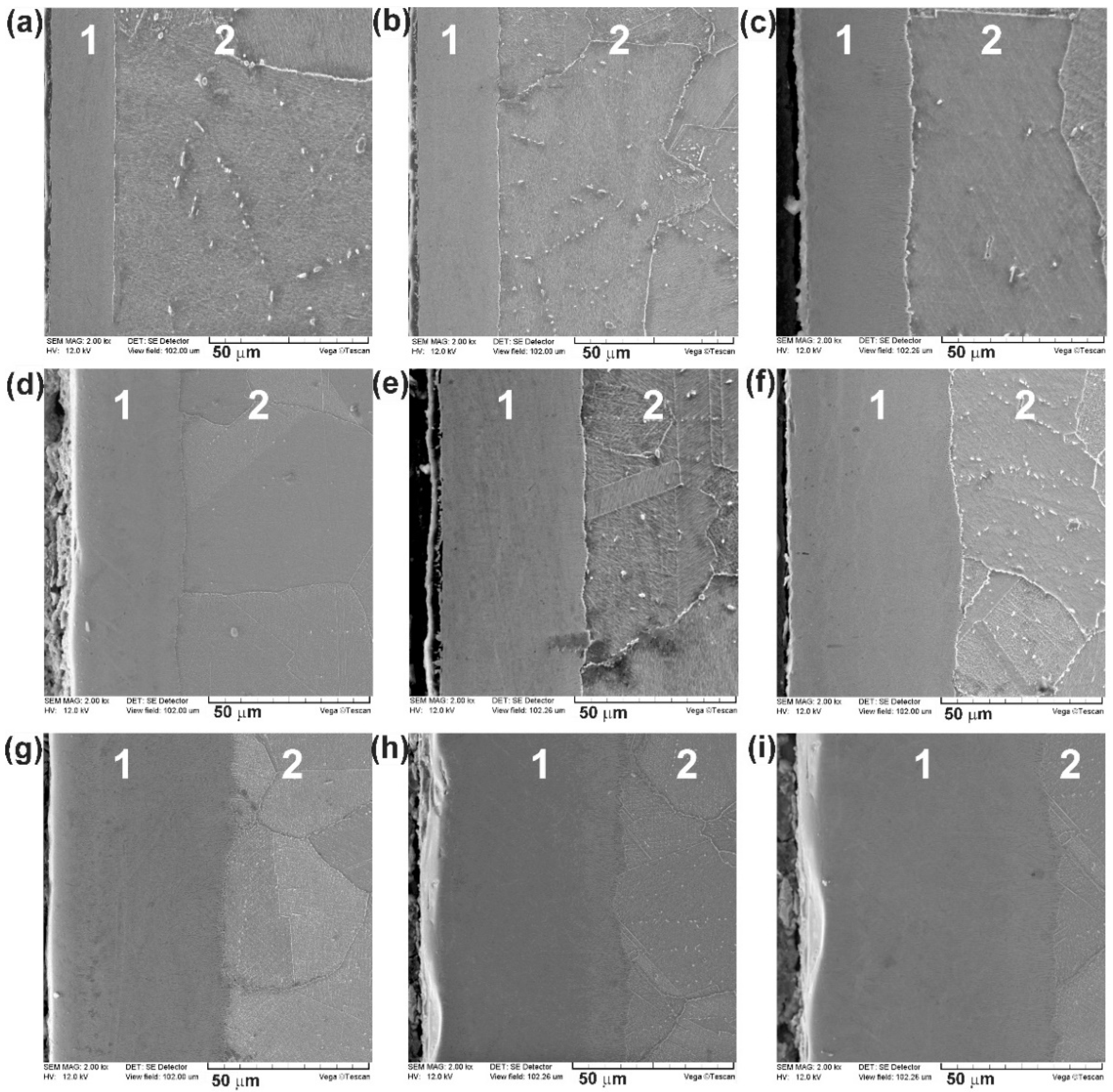 Materials 14 05146 g001 Materials 14 05146 g001