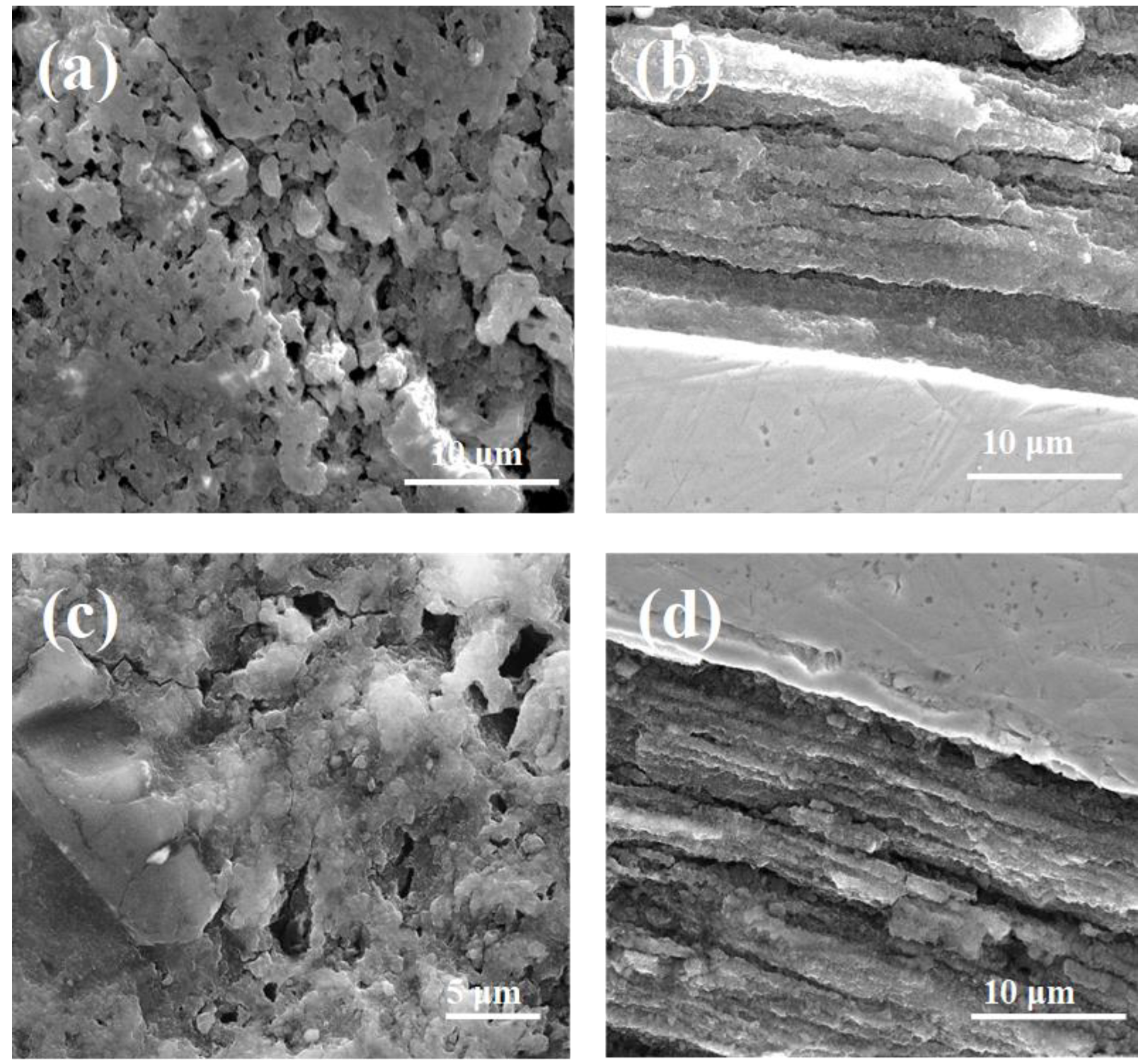 Materials 14 05152 g003 Materials 14 05152 g003