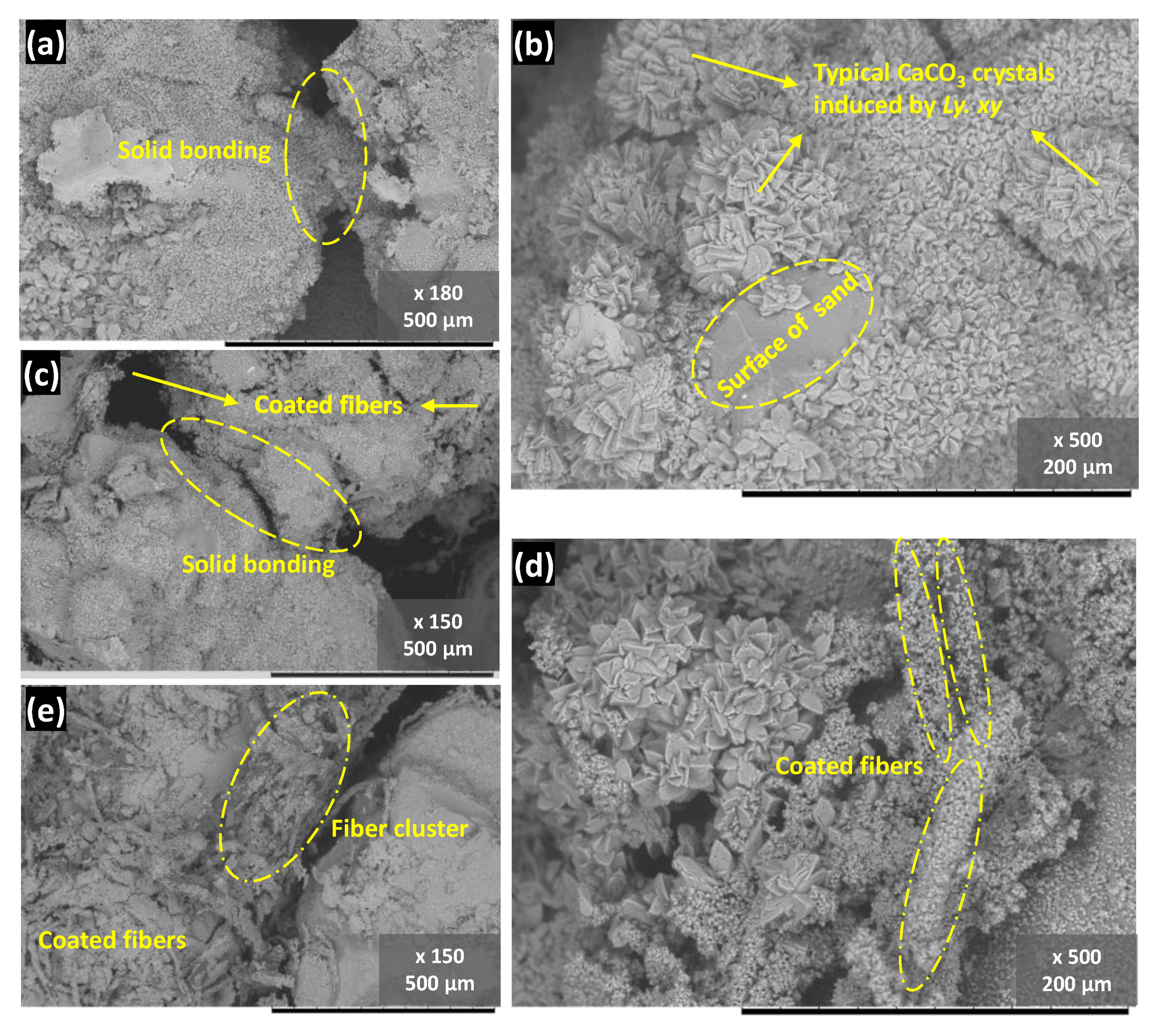 Materials 14 05164 g011