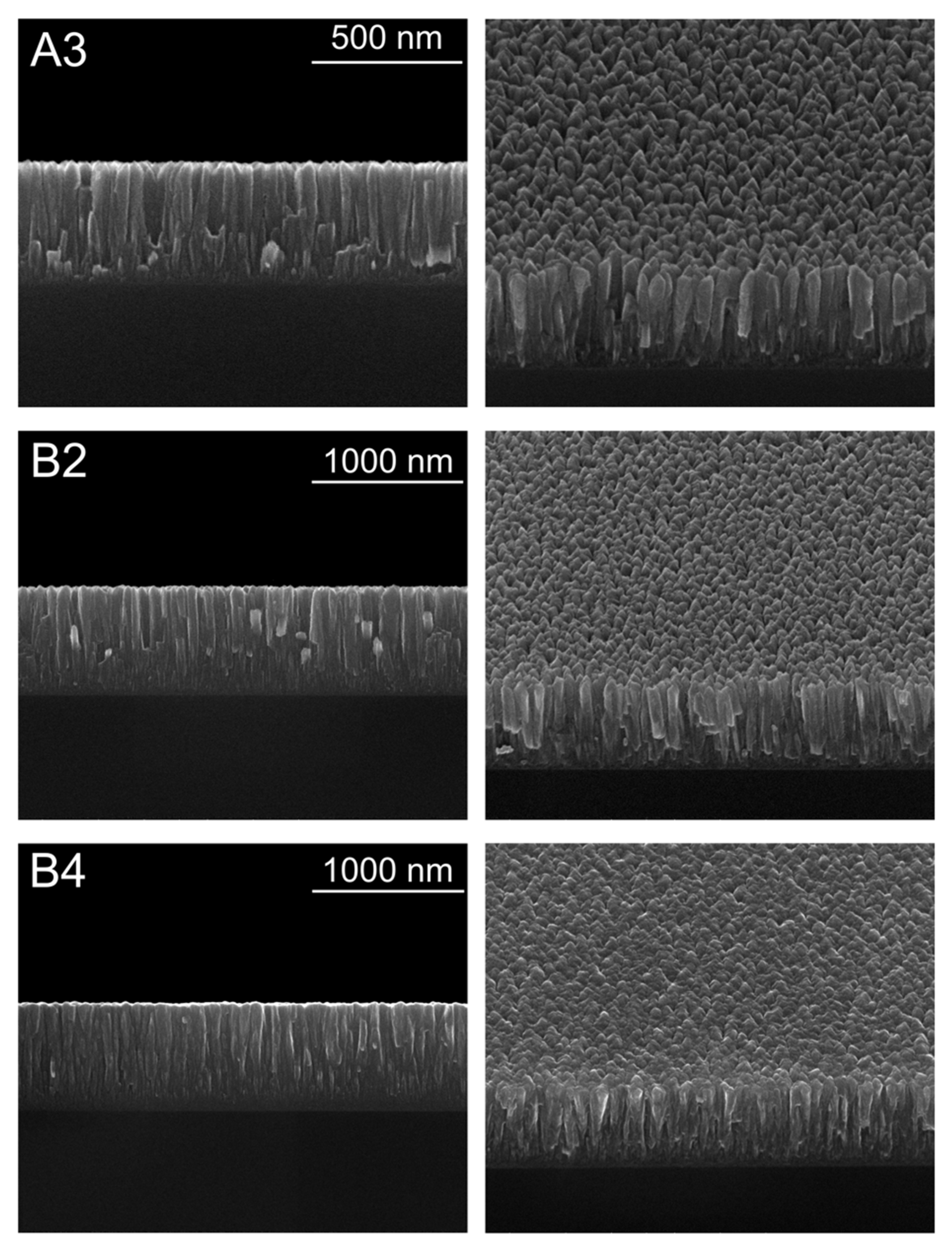 Materials 14 05175 g003
