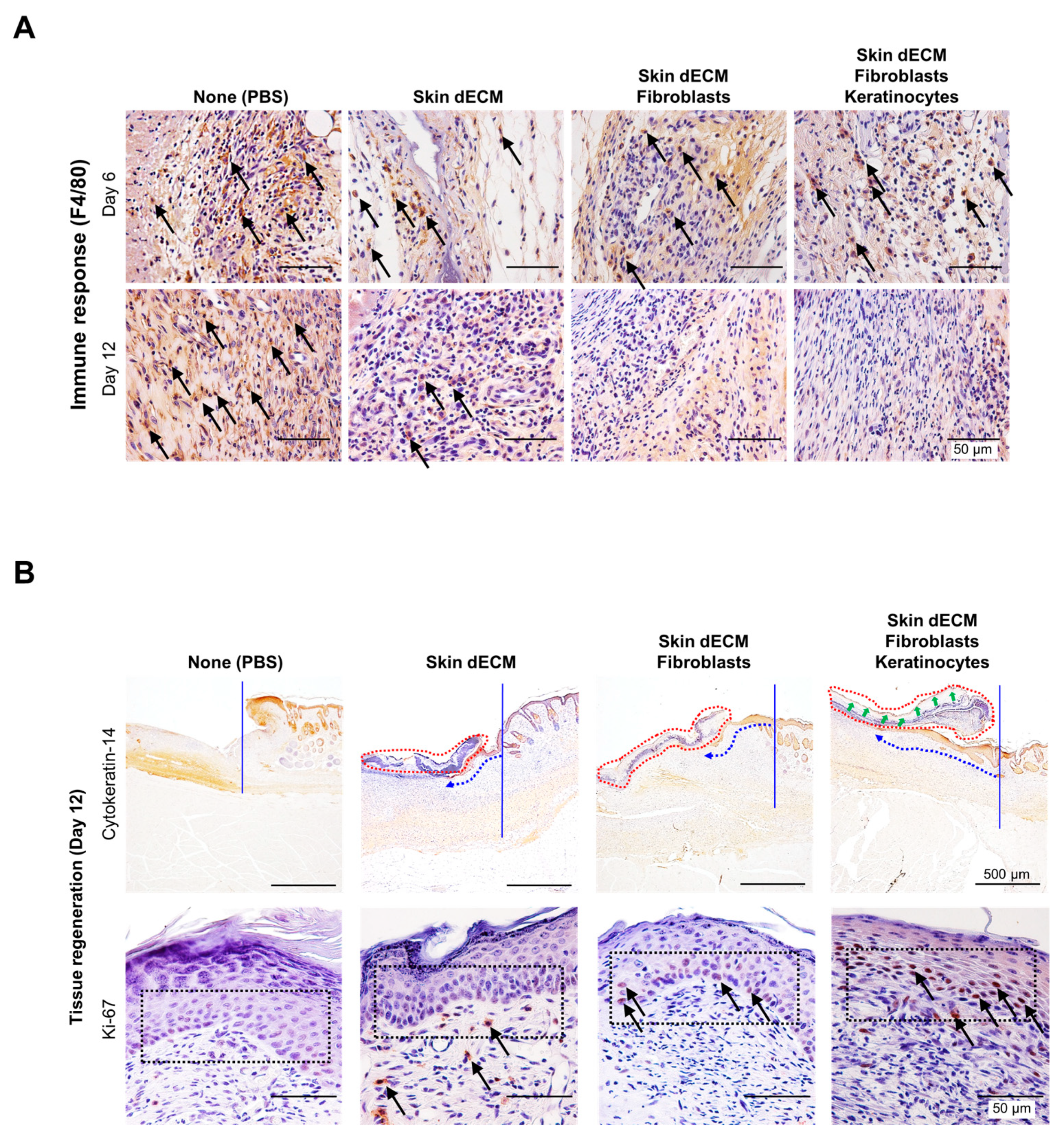 Materials 14 05177 g008