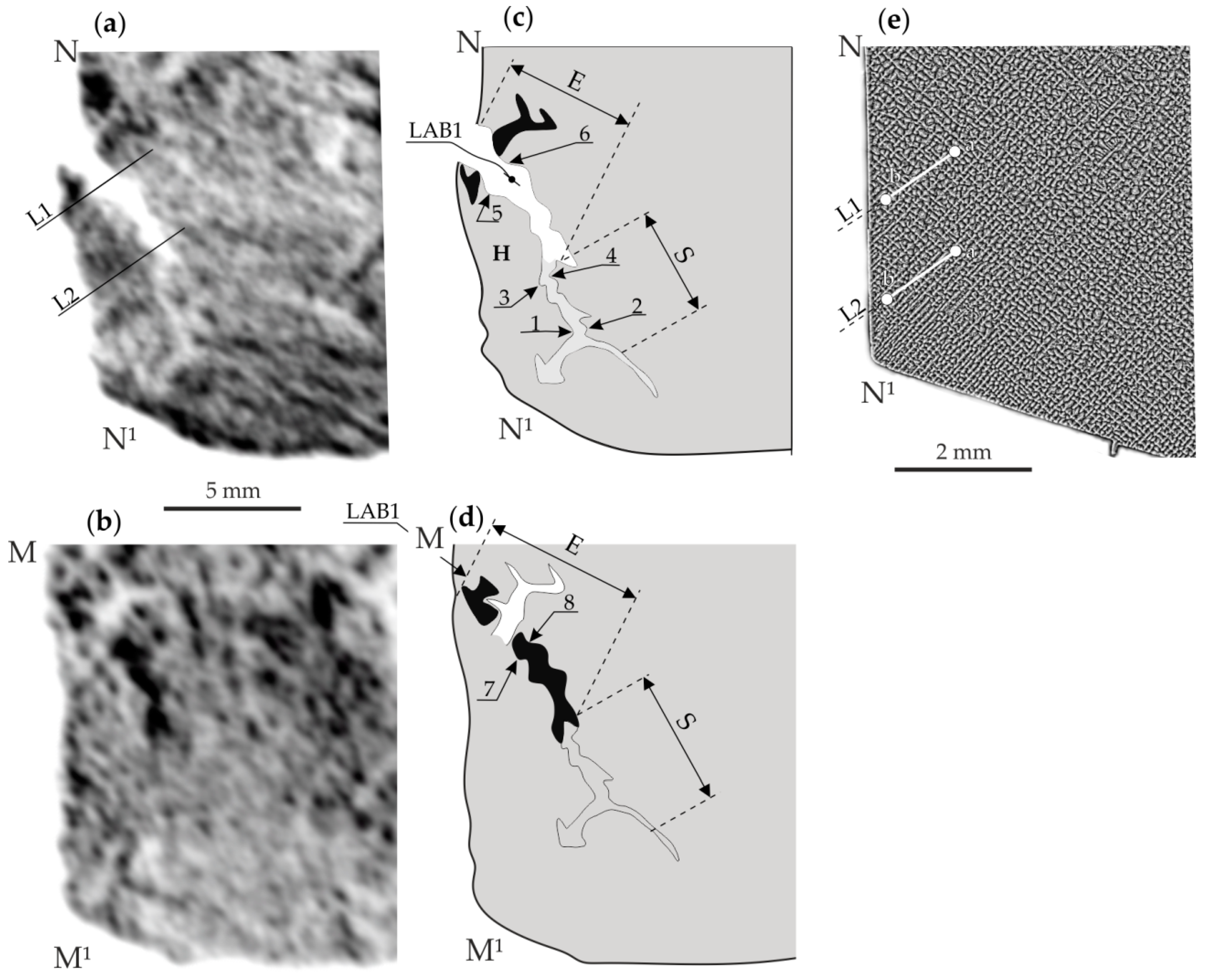 Materials 14 05194 g003
