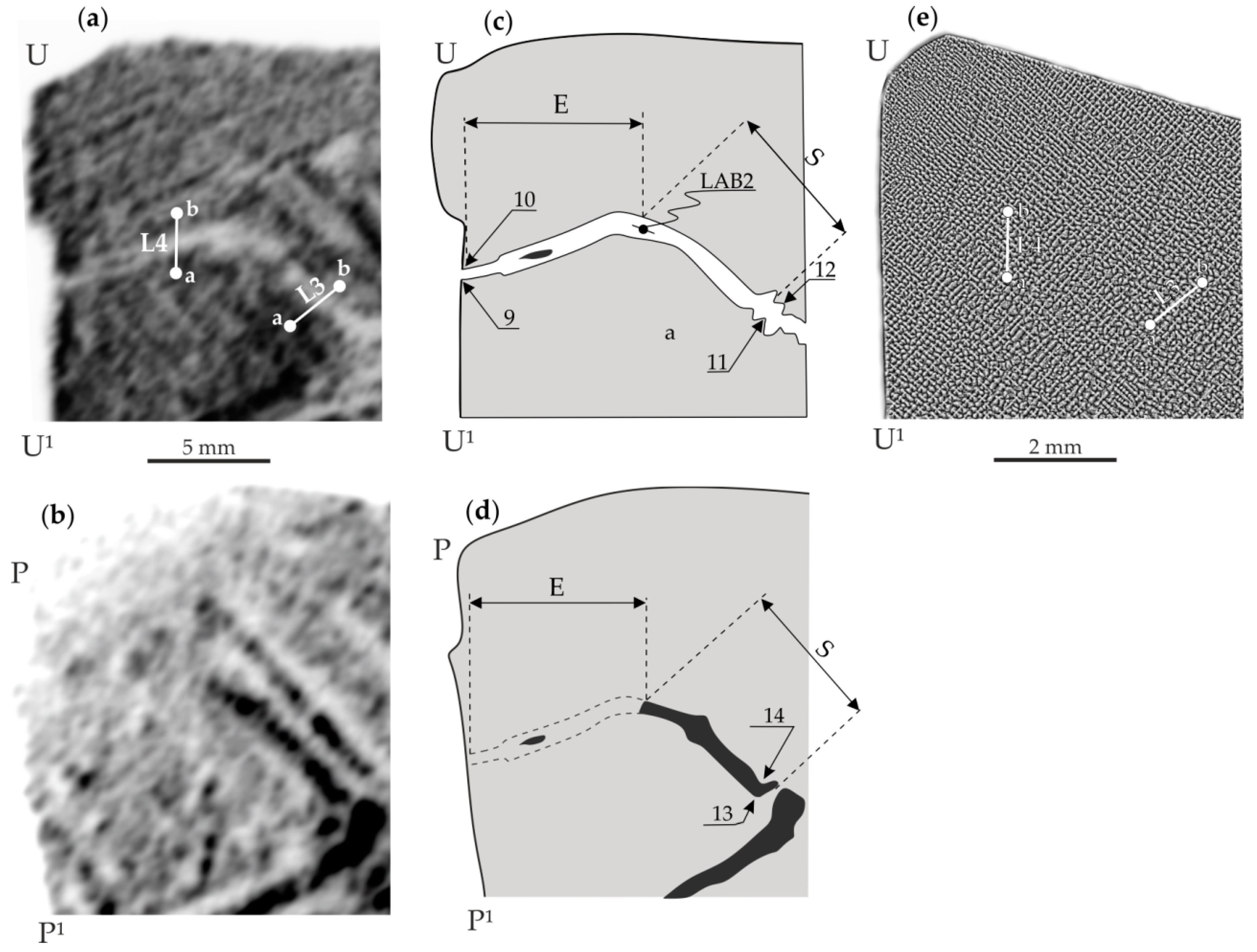 Materials 14 05194 g004