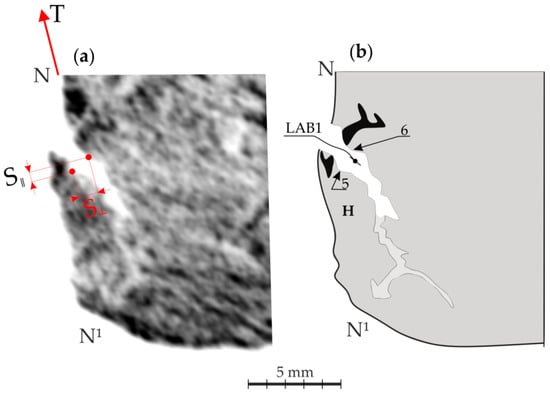 Materials 14 05194 g0a1 550