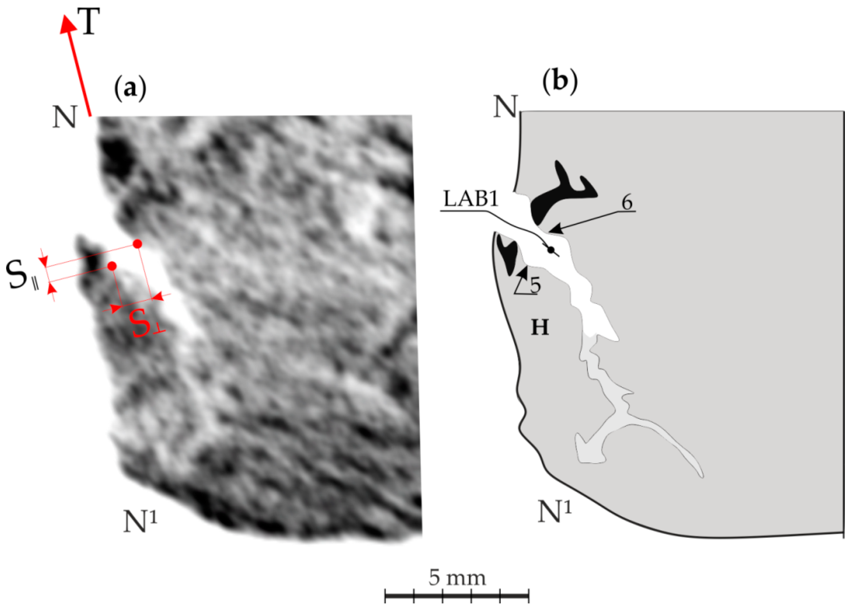 Materials 14 05194 g0a1