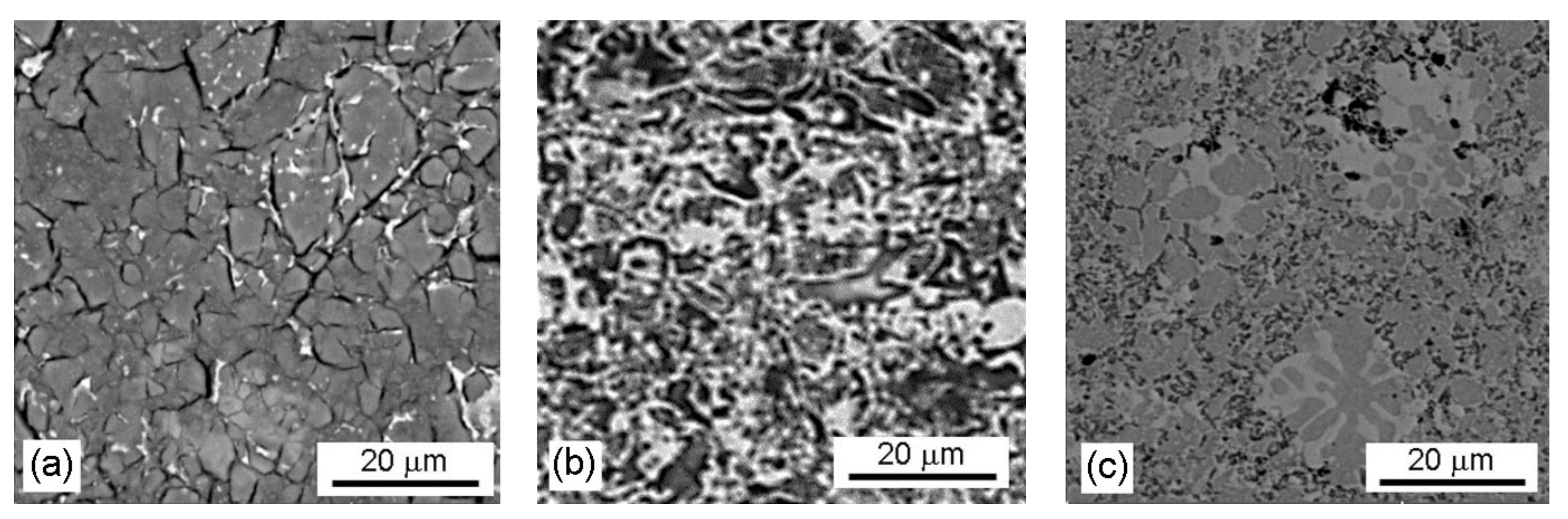 Materials 14 05211 g005