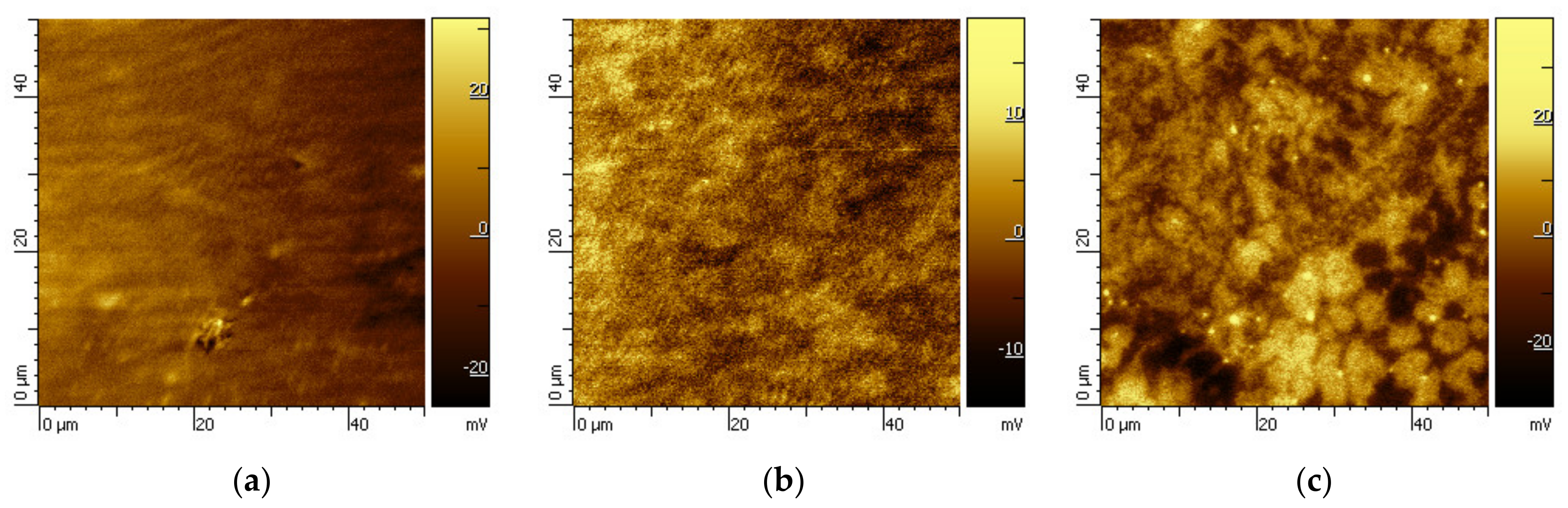 Materials 14 05211 g007
