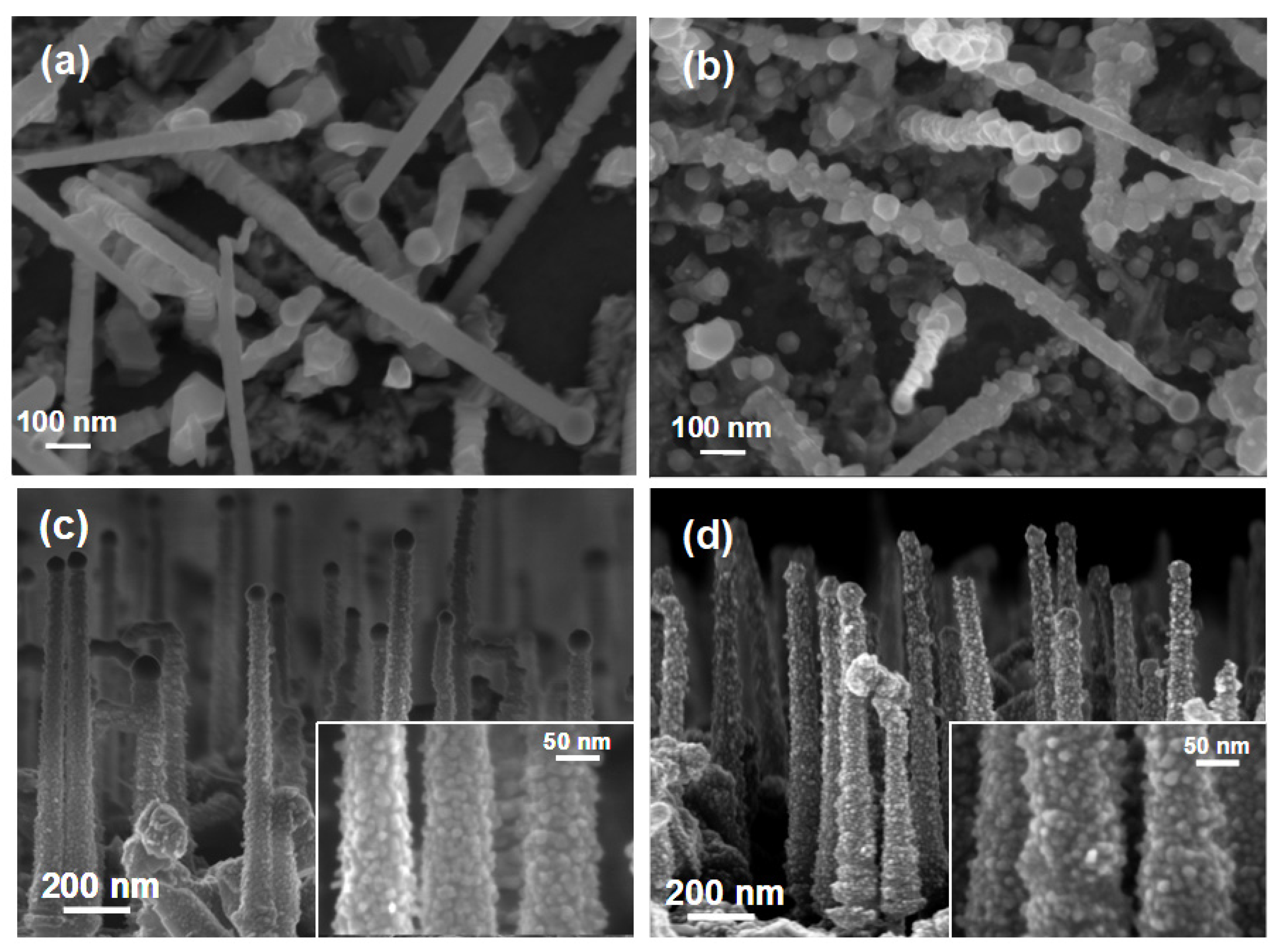 Materials 14 05252 g001 Materials 14 05252 g001
