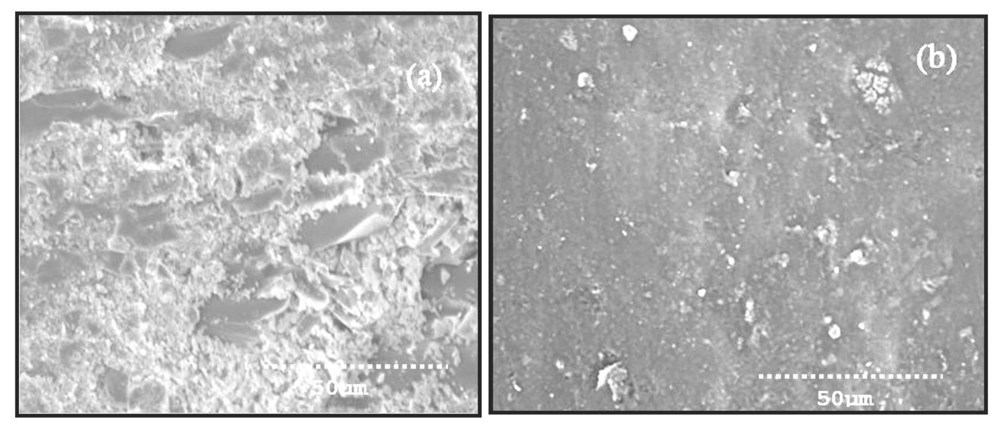 Materials 14 05257 g010