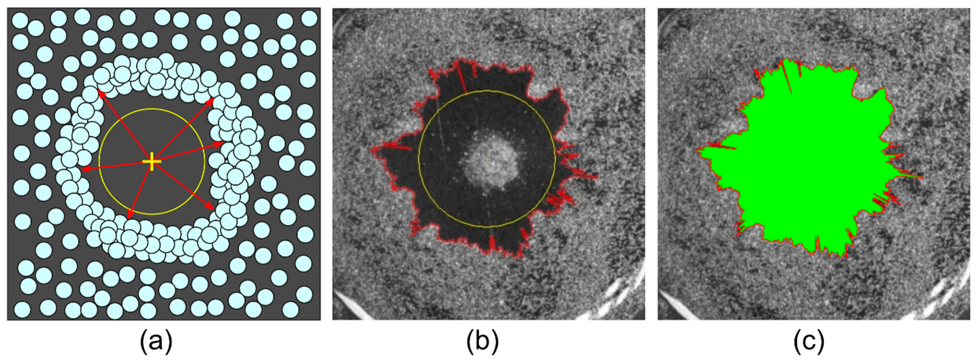 Materials 14 05267 g002