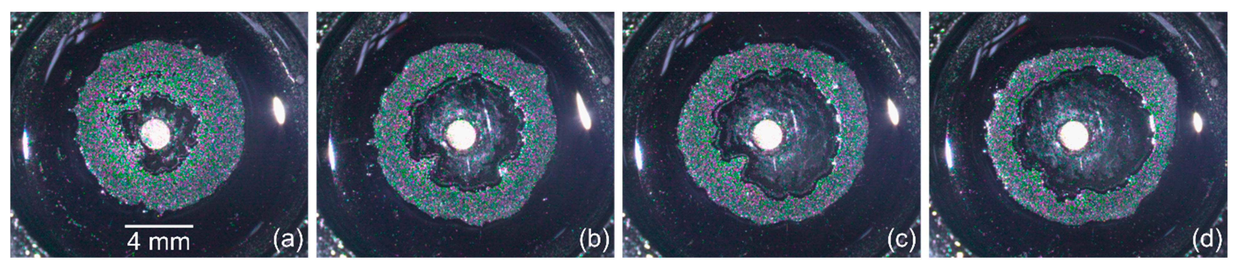 Materials 14 05267 g006