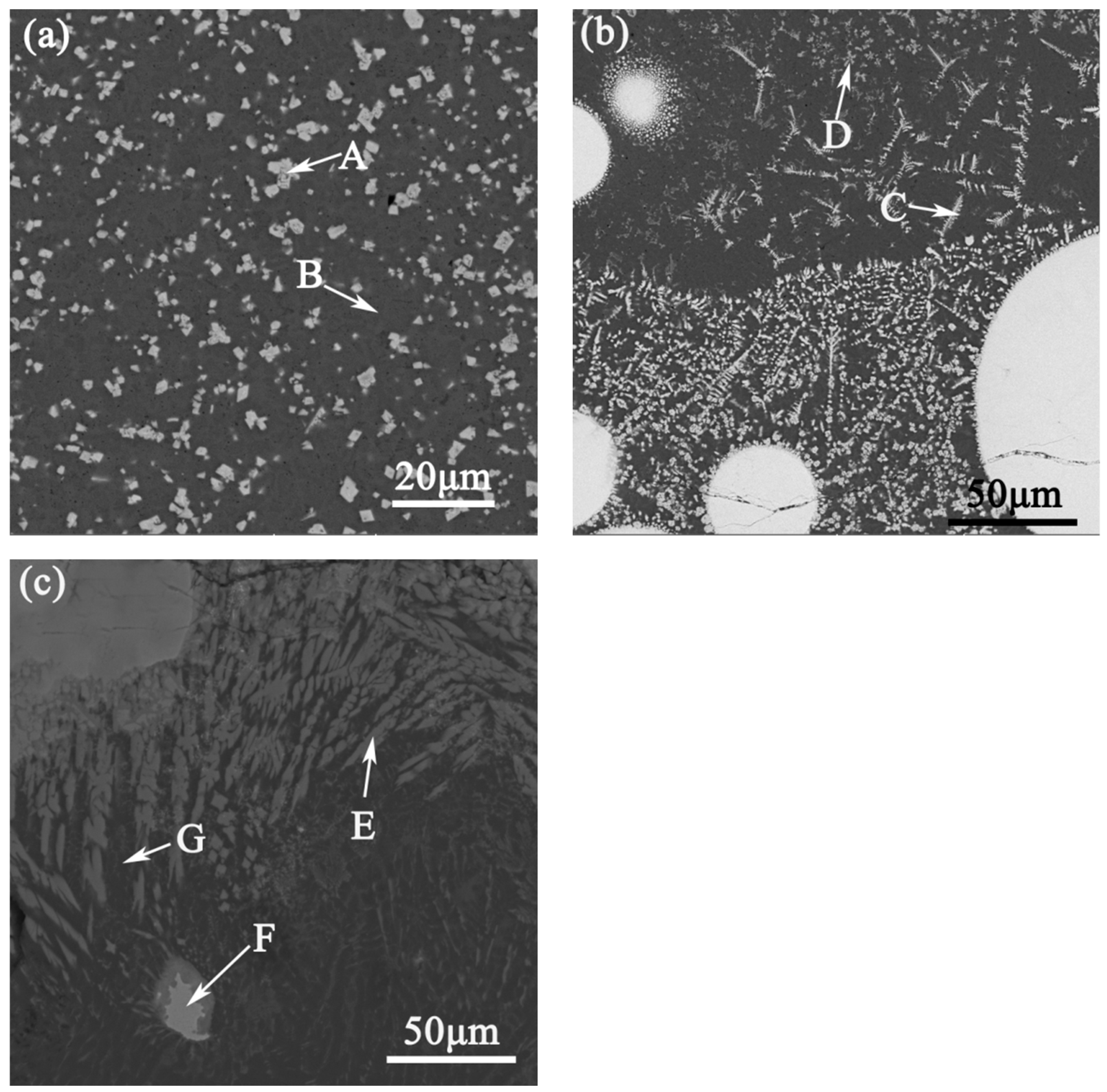 Materials 14 05288 g004