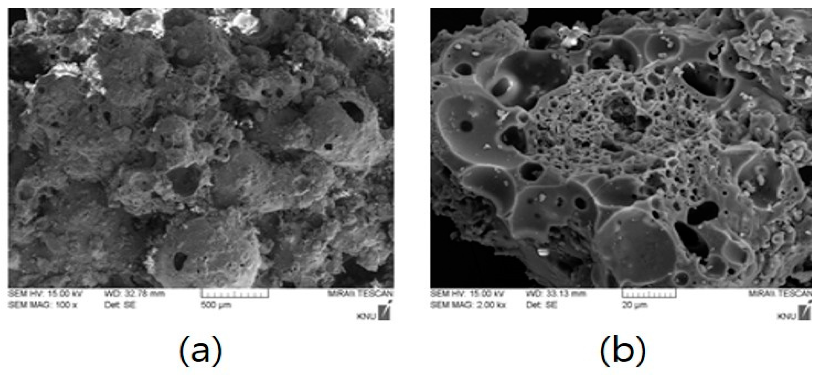 Materials 14 05291 g003