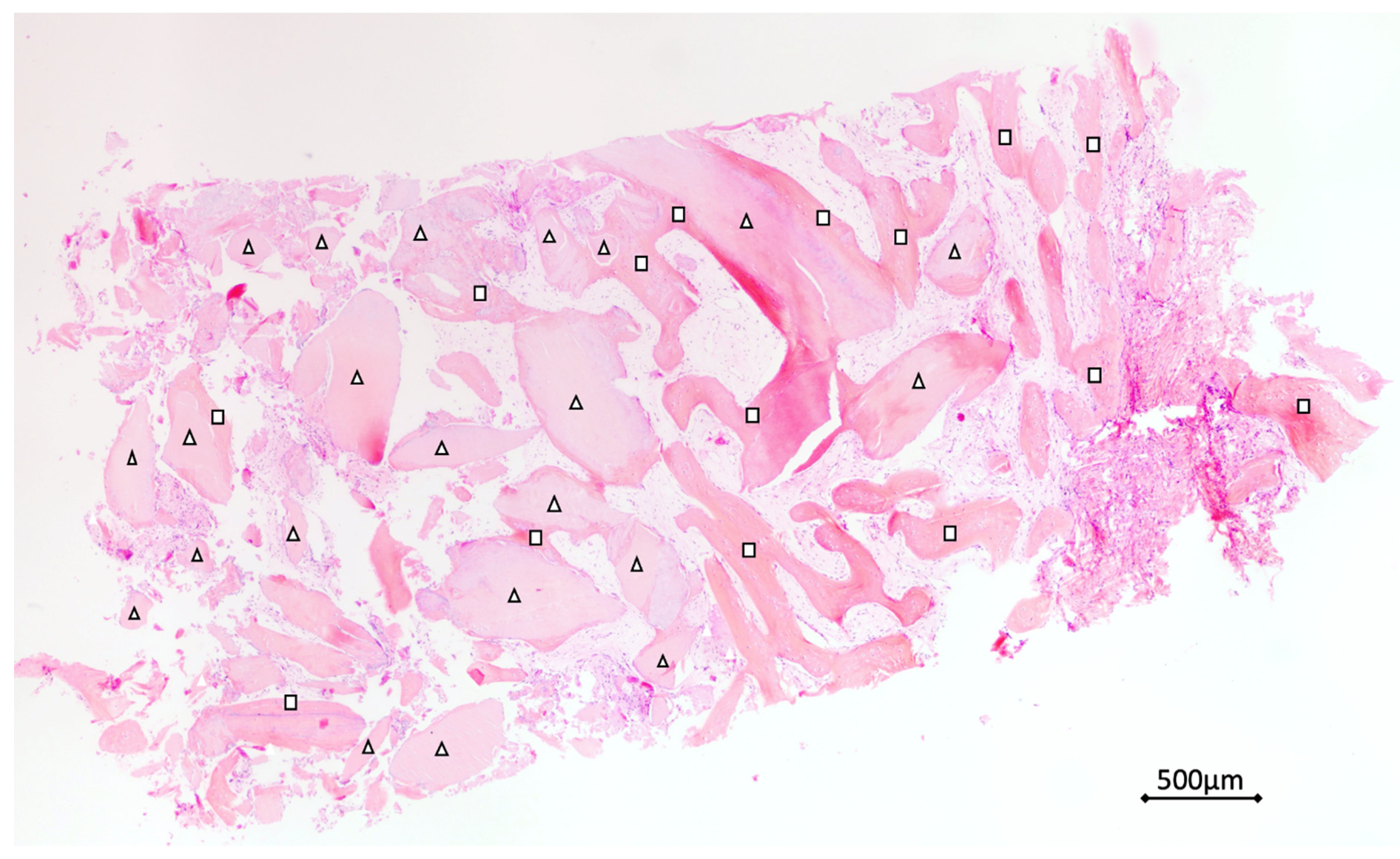 Materials 14 05292 g004