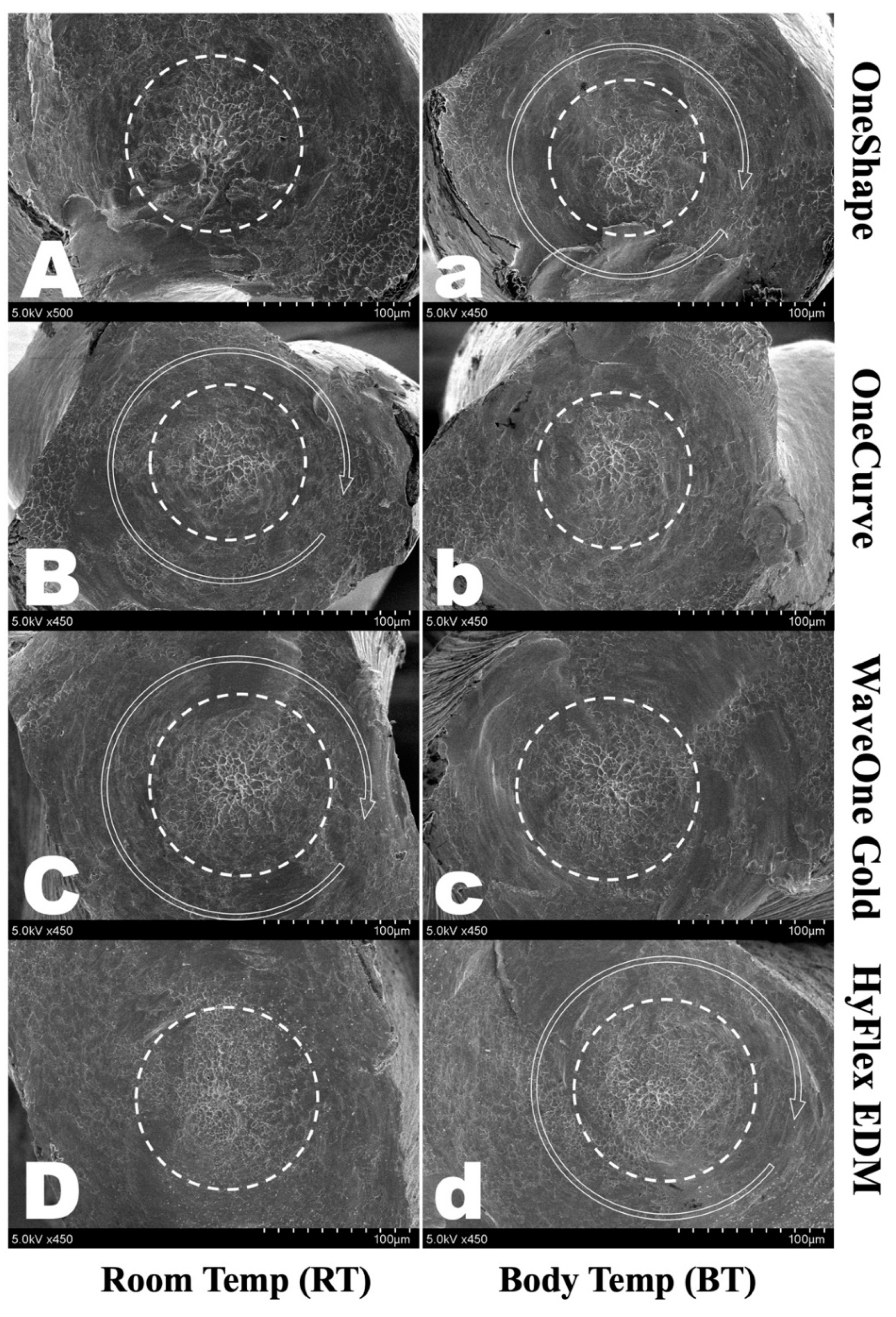 Materials 14 05295 g003