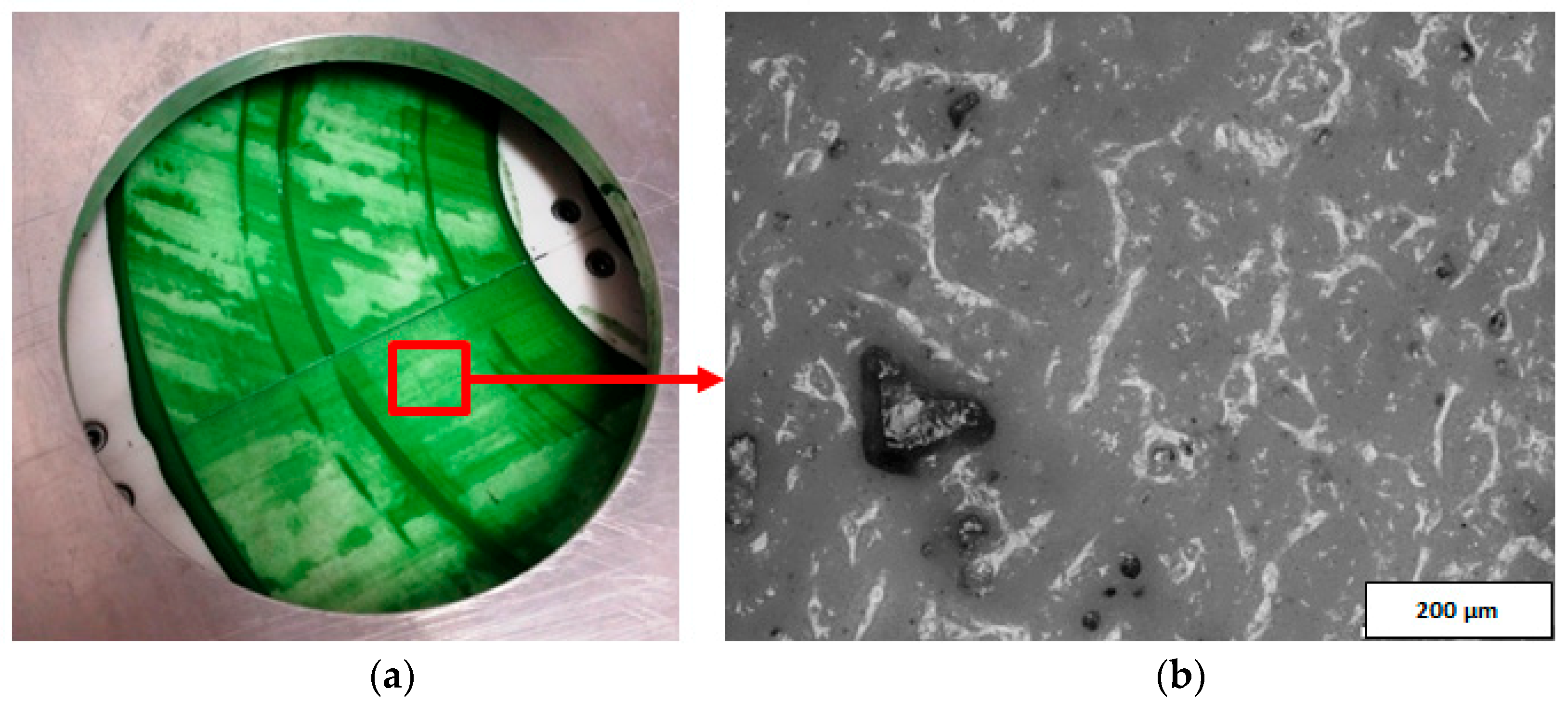 Materials 14 05306 g007