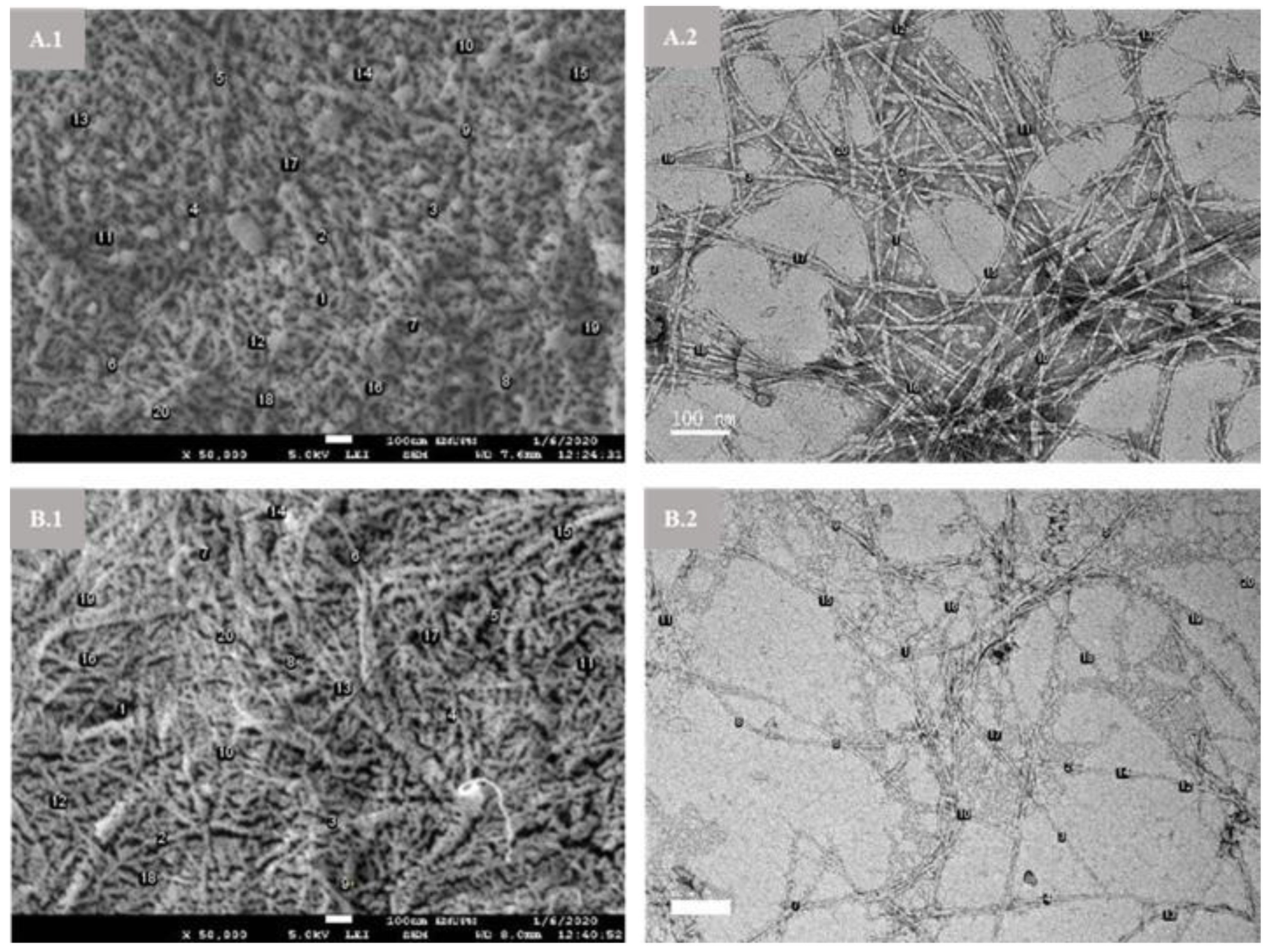 Materials 14 05313 g002