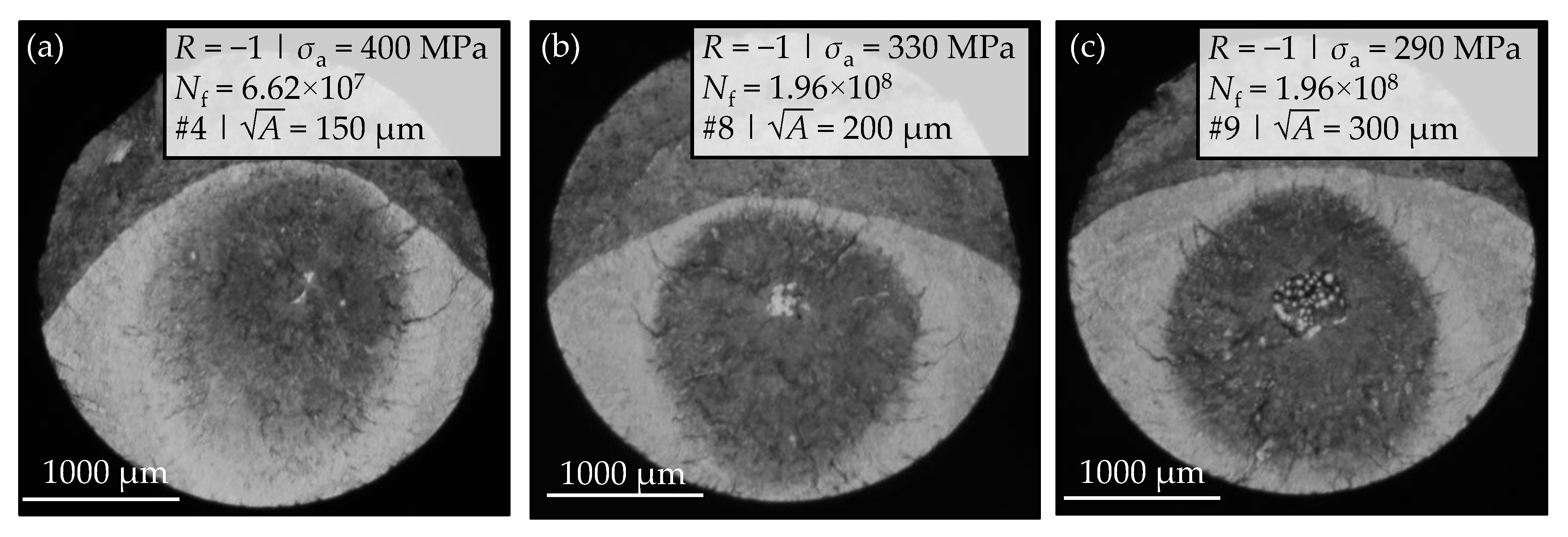 Materials 14 05315 g007