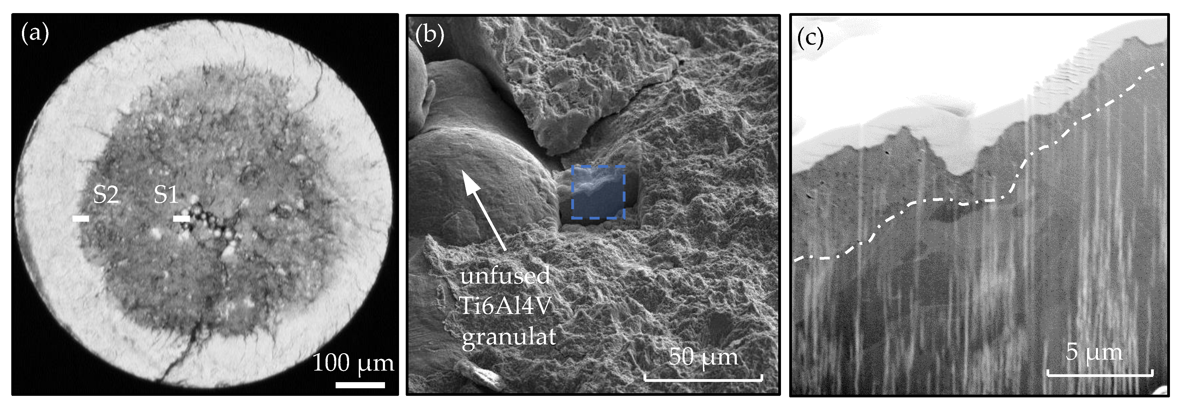 Materials 14 05315 g008