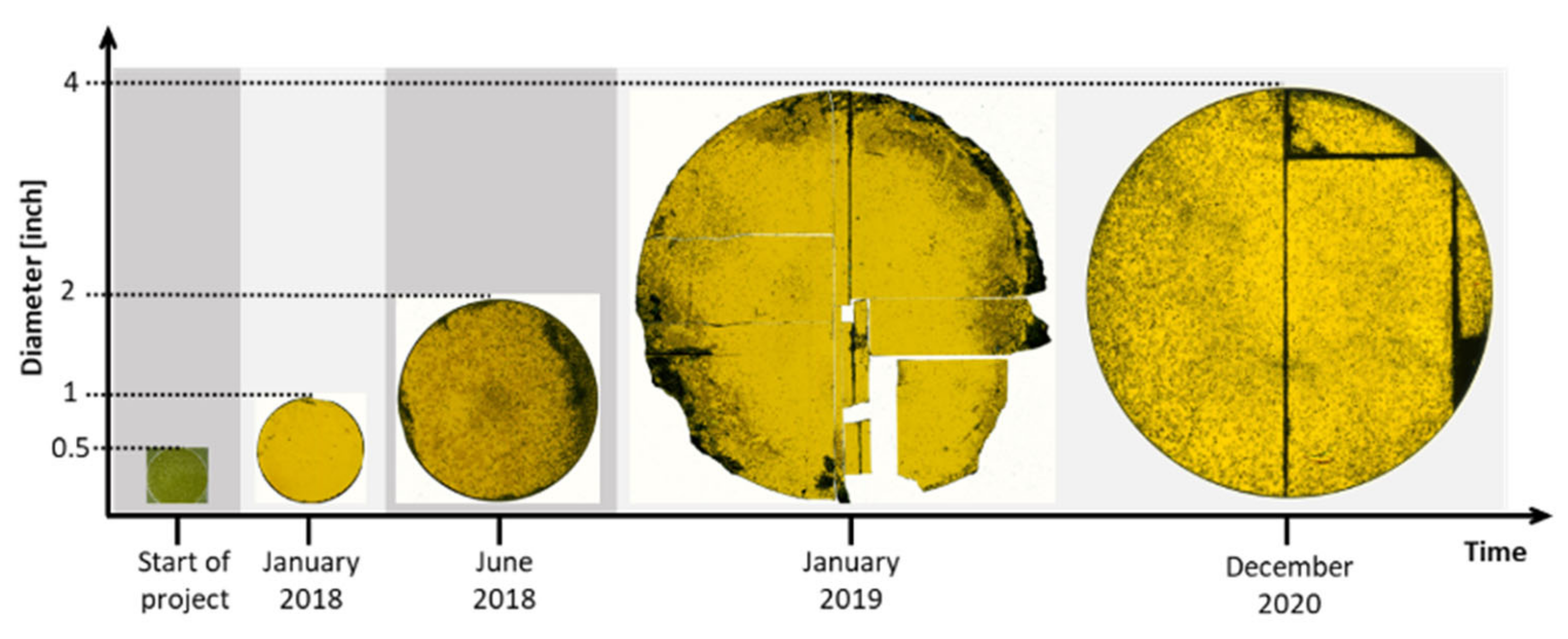 Materials 14 05348 g020