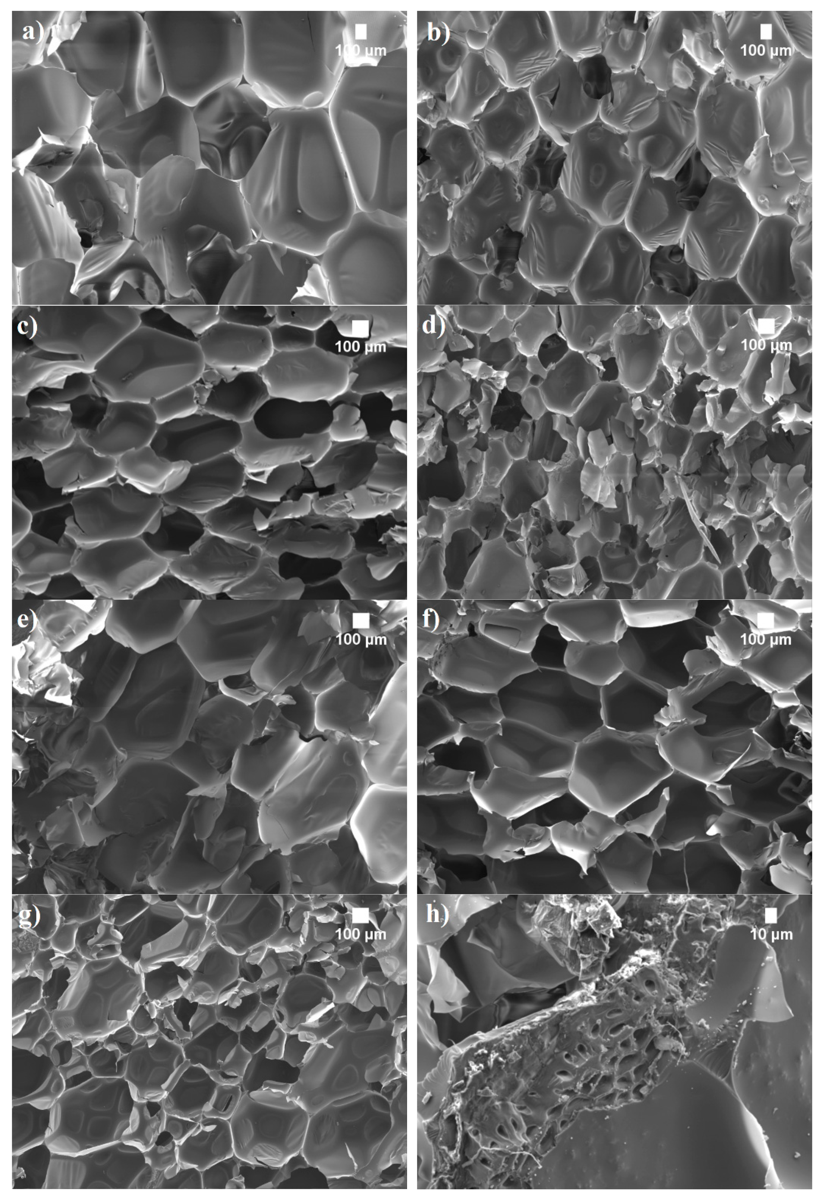 Materials 14 05351 g005 Materials 14 05351 g005