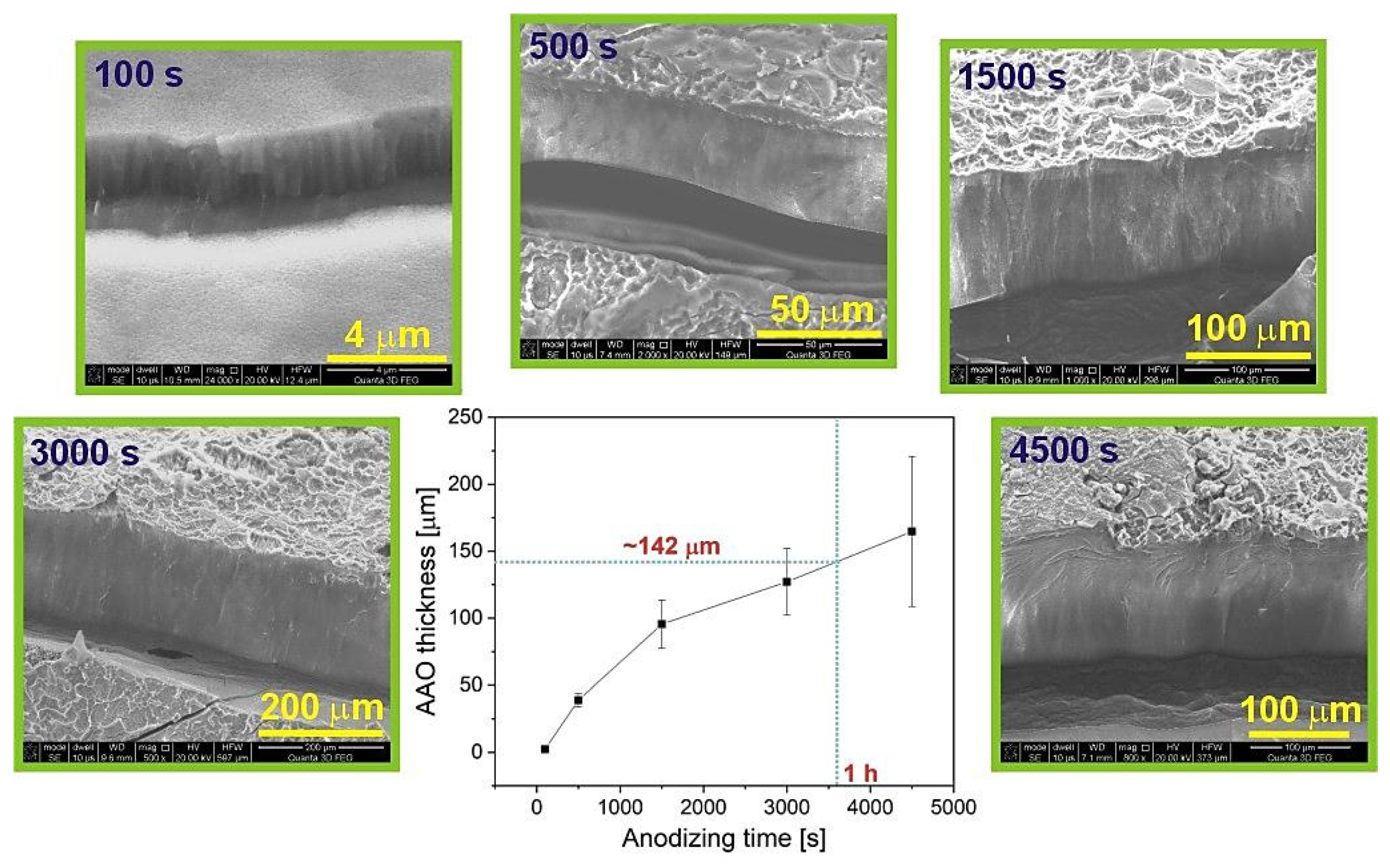 Materials 14 05362 g004