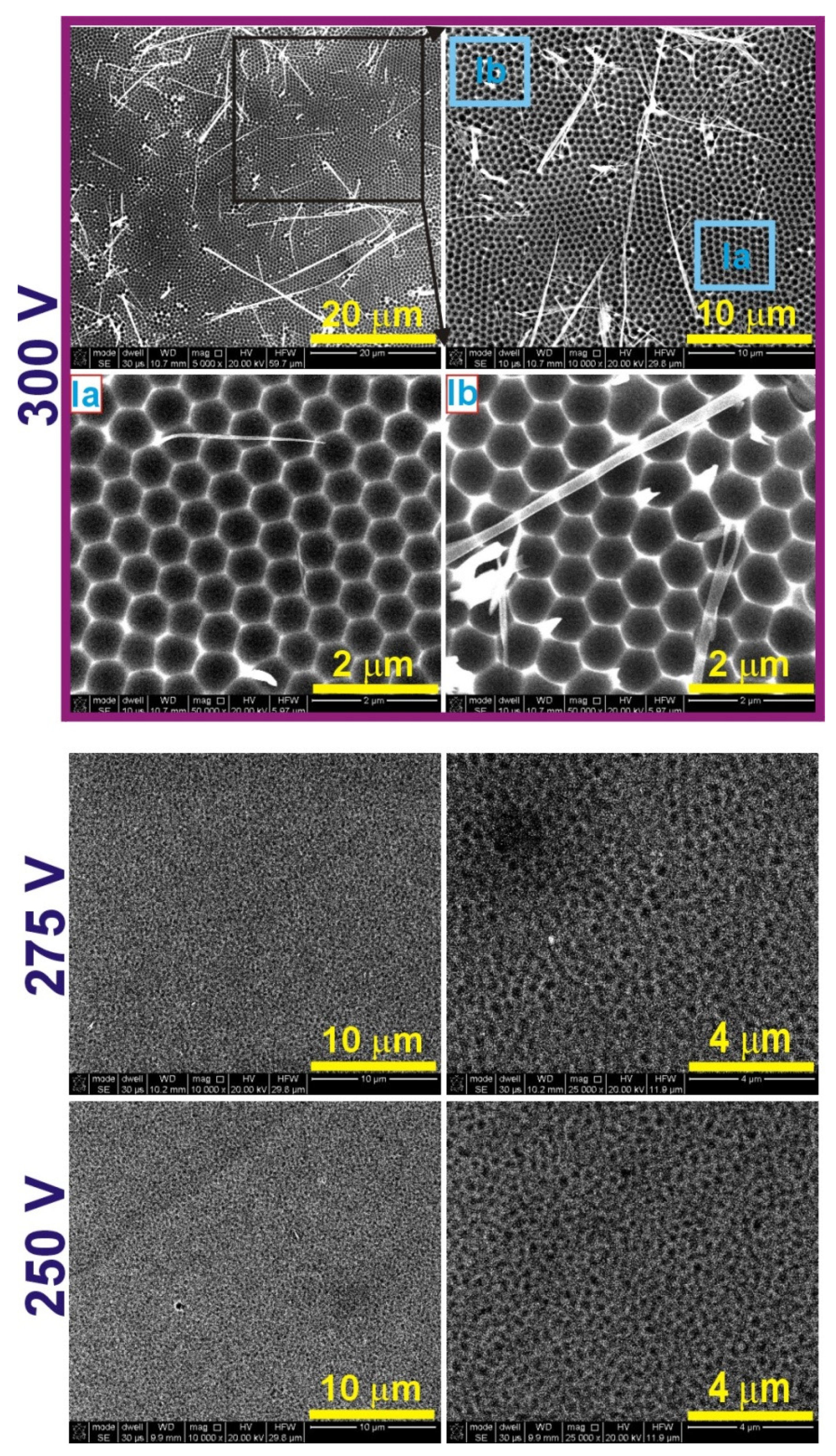 Materials 14 05362 g008