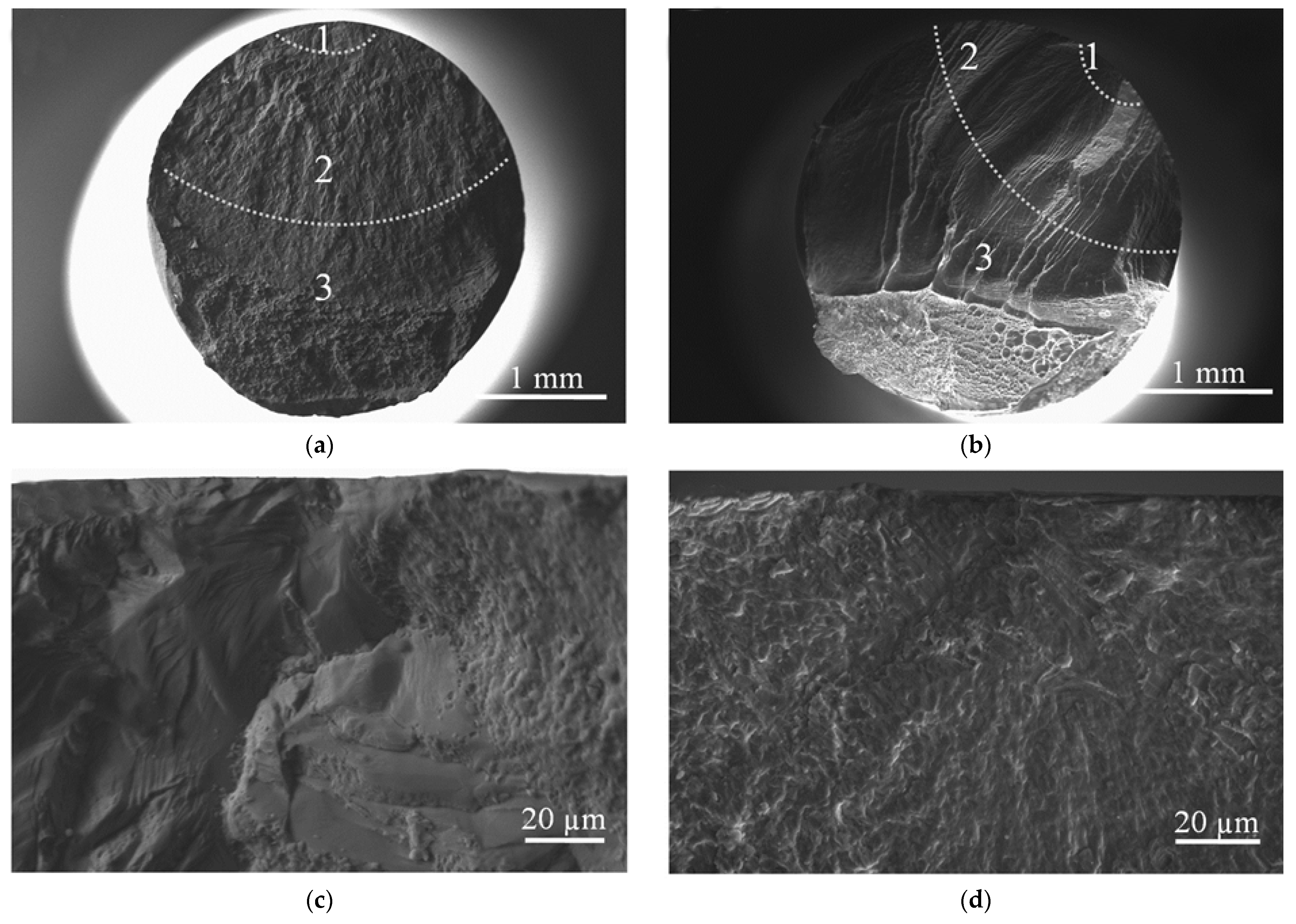 Materials 14 05365 g012a Materials 14 05365 g012a